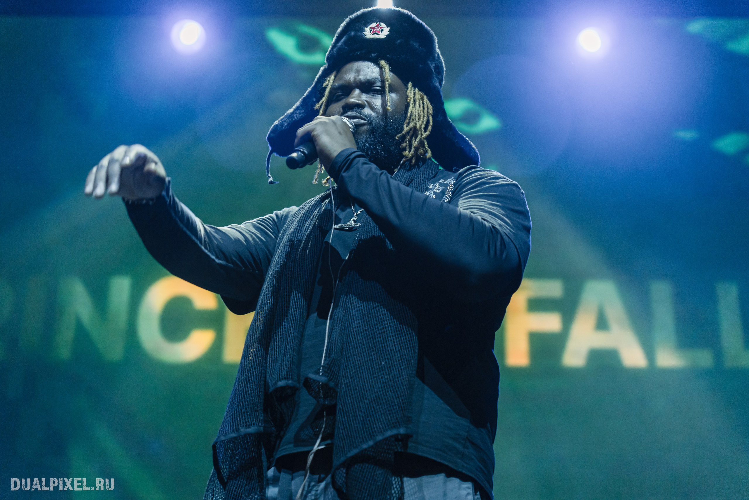 Prince Of Falls. Магия музыки в кадре: Концертная Фотография