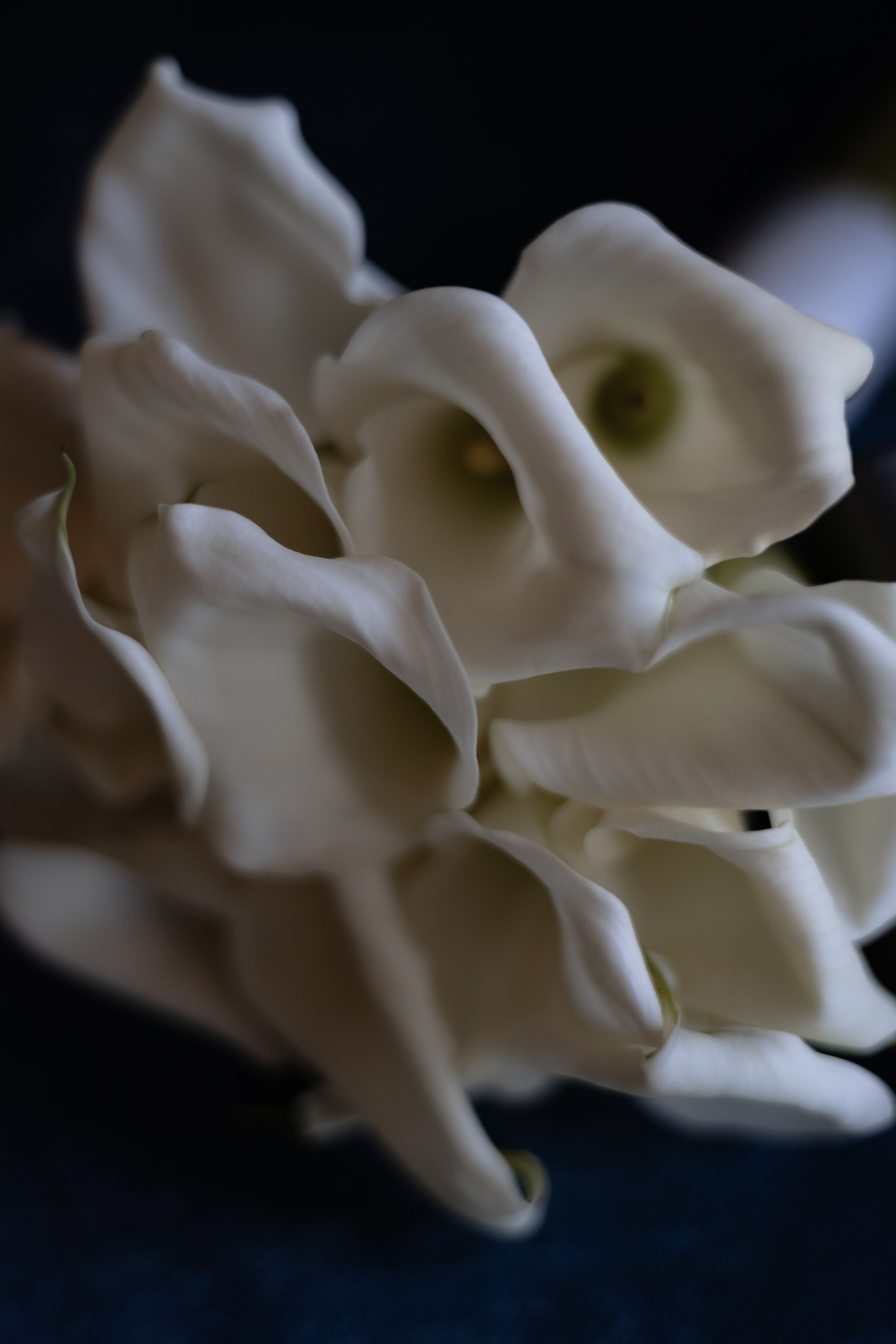 Ольга и Александр. Свадебный и семейный фотограф в Челябинске. Аврамец Анна