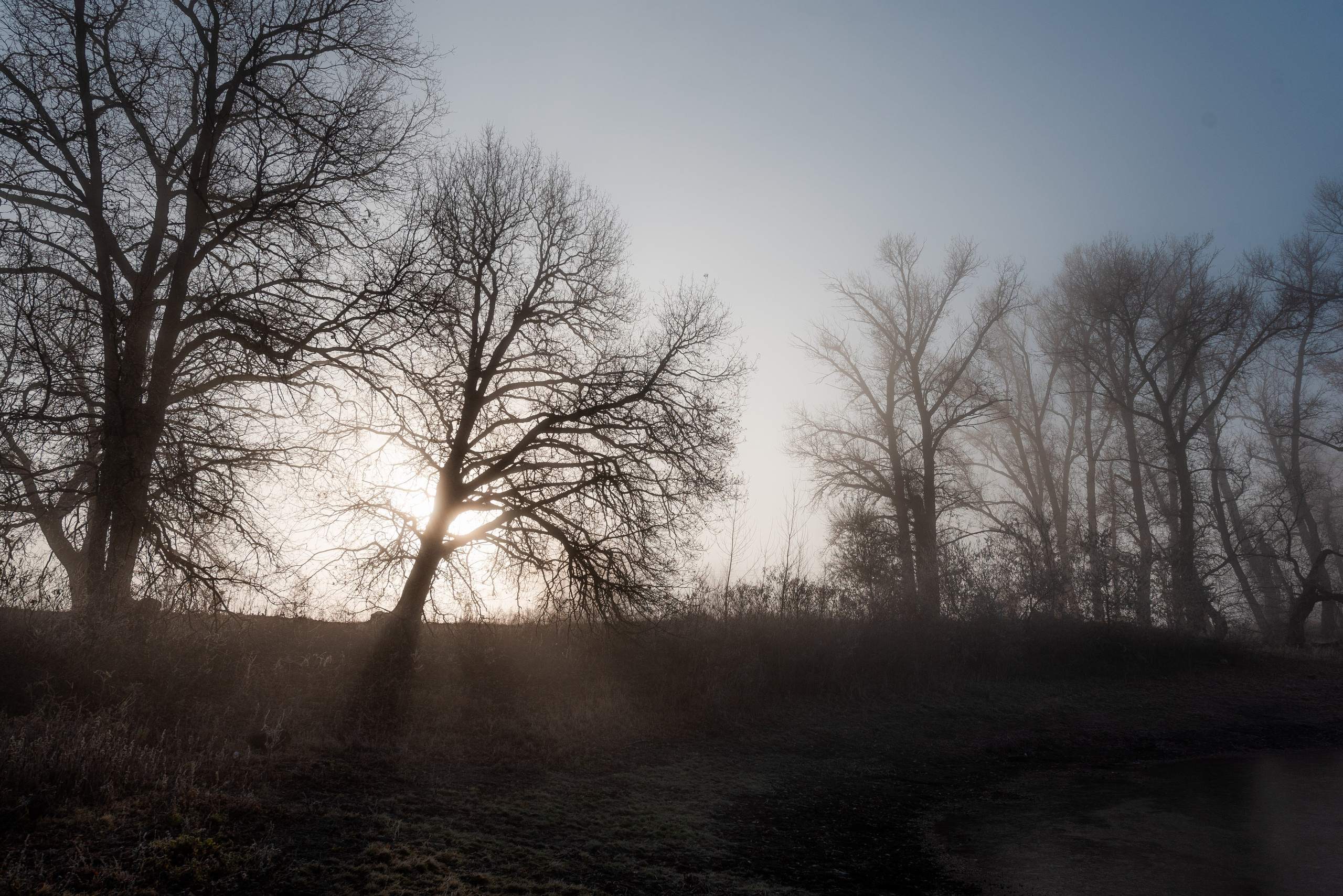 Фотографии утреннего тумана под Волжским. Фотограф в Волгограде и Волжском Александр Горбань