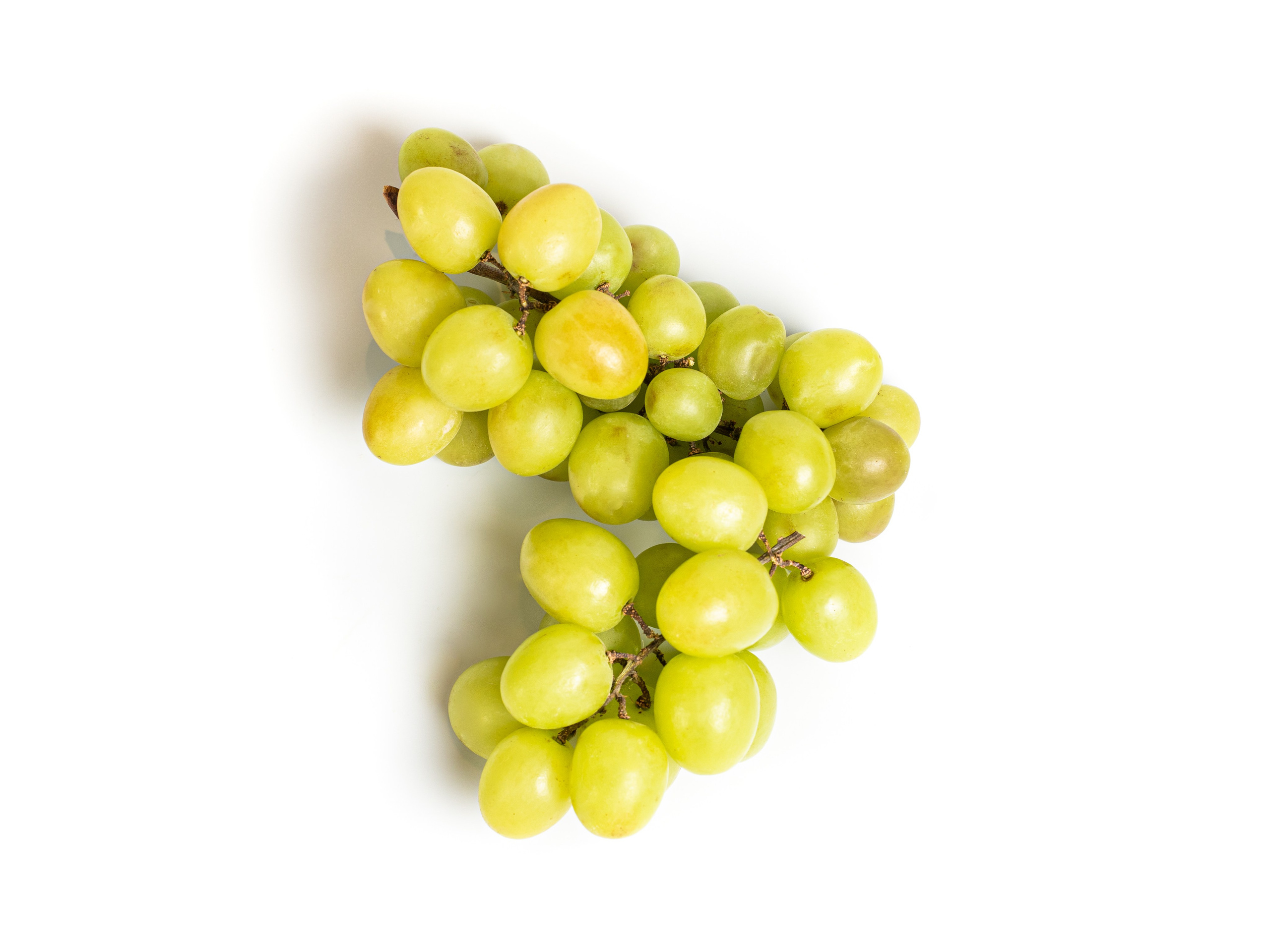 Яндекс Маркет. Предметный и фуд-фотограф в Москве Анна Царенко