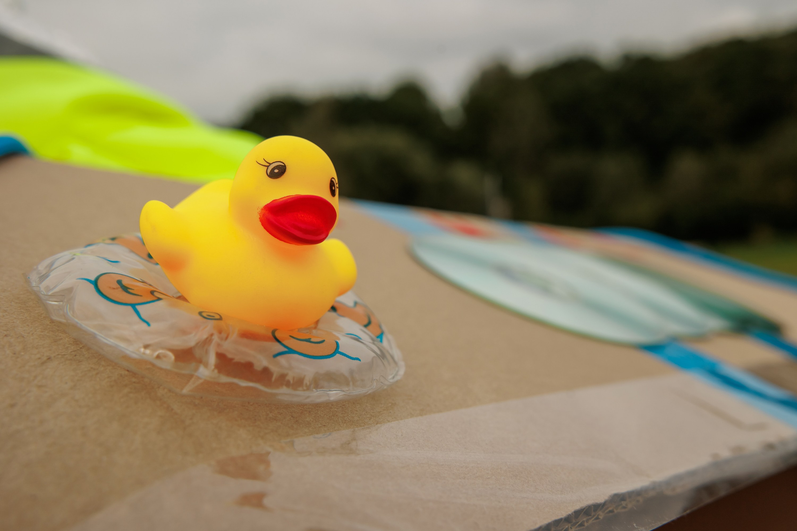 Тимбилдинг выезд. Репортажный фотограф. Москва. Алина Ланская
