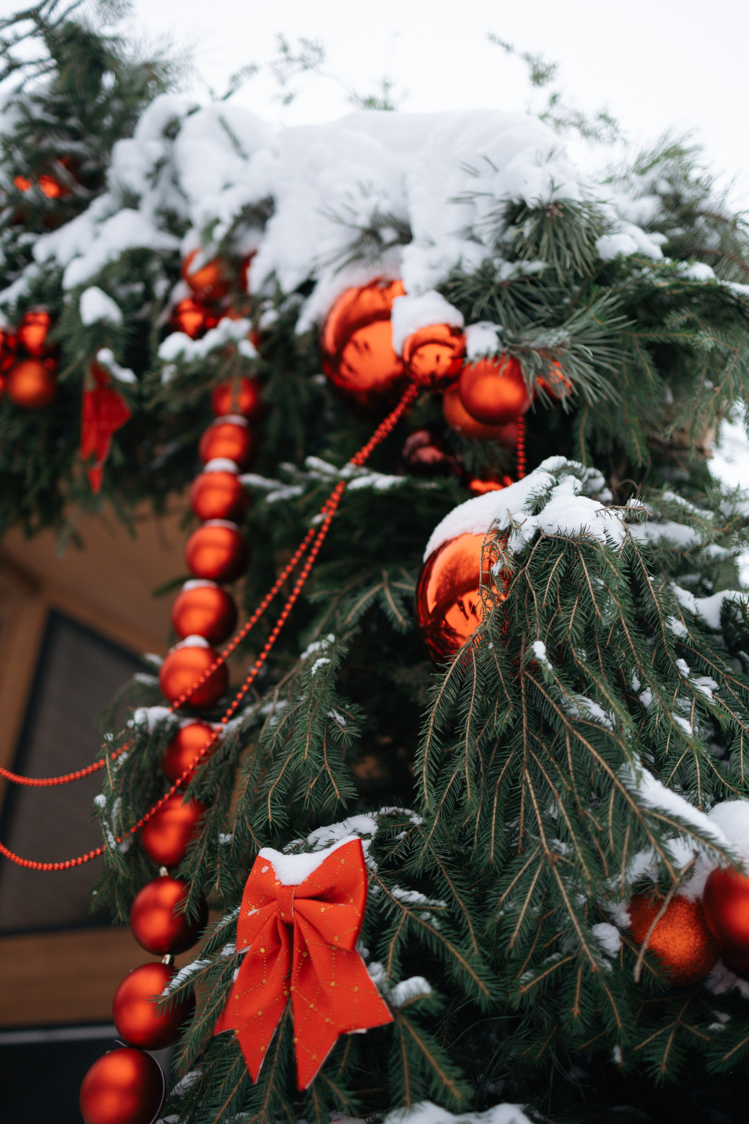 Зима в глэмпинге. Ваш фотограф