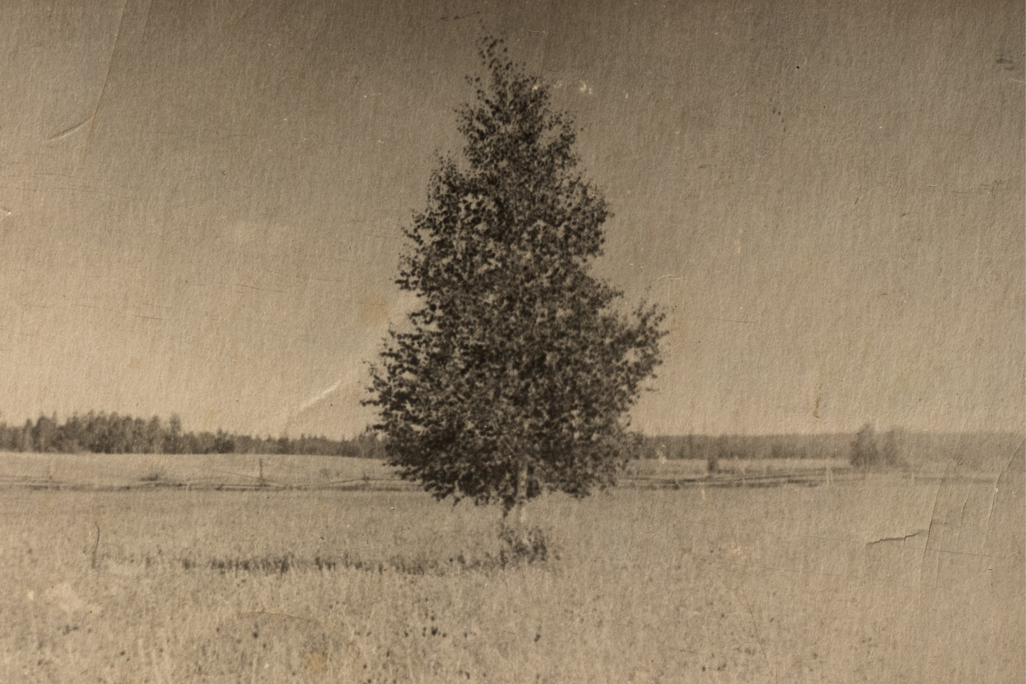 Thread the Needle. Lesha Pavlov