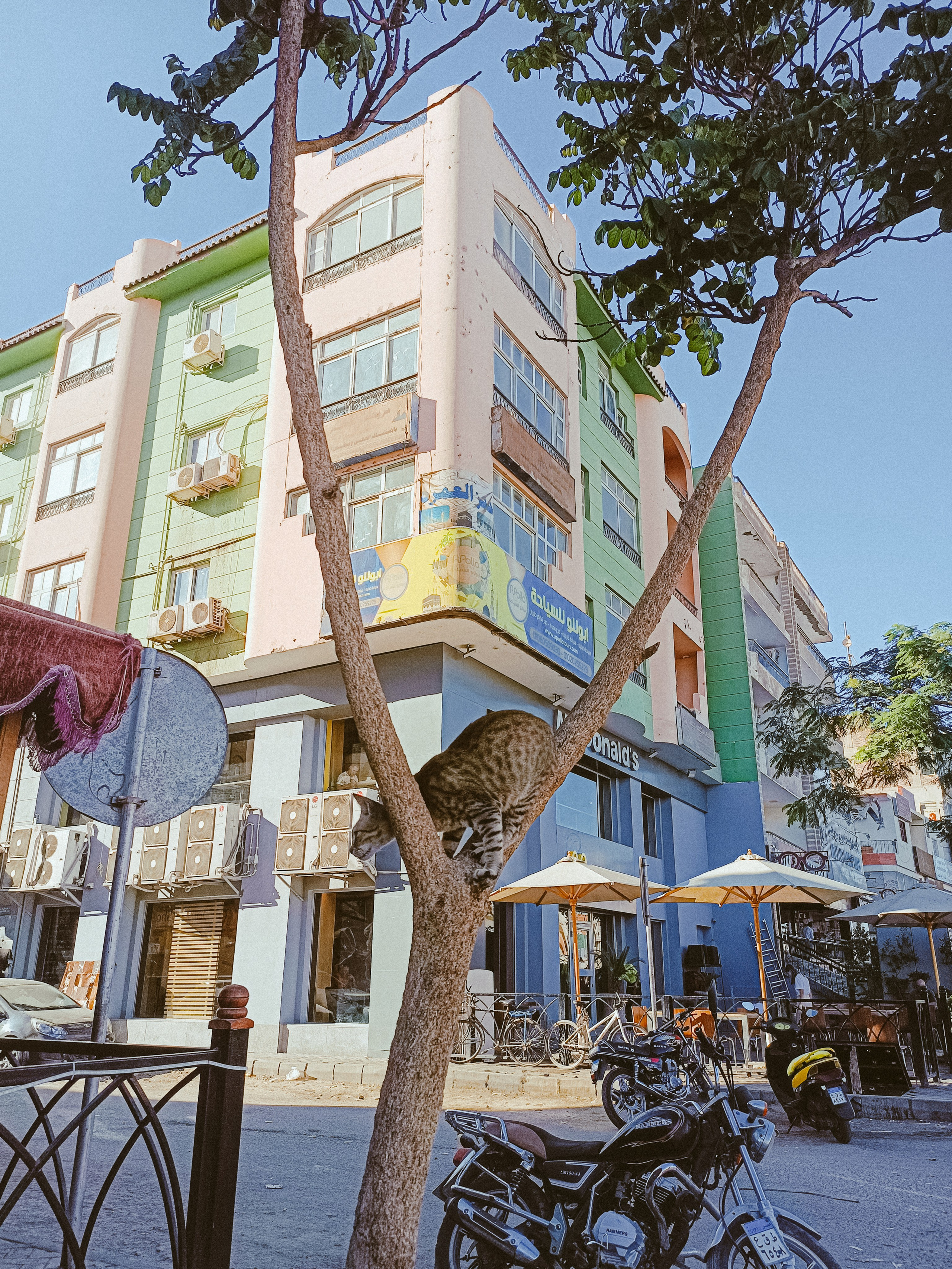 Мобильная. Jorgis — фотограф в Хургаде / обучение фотографии