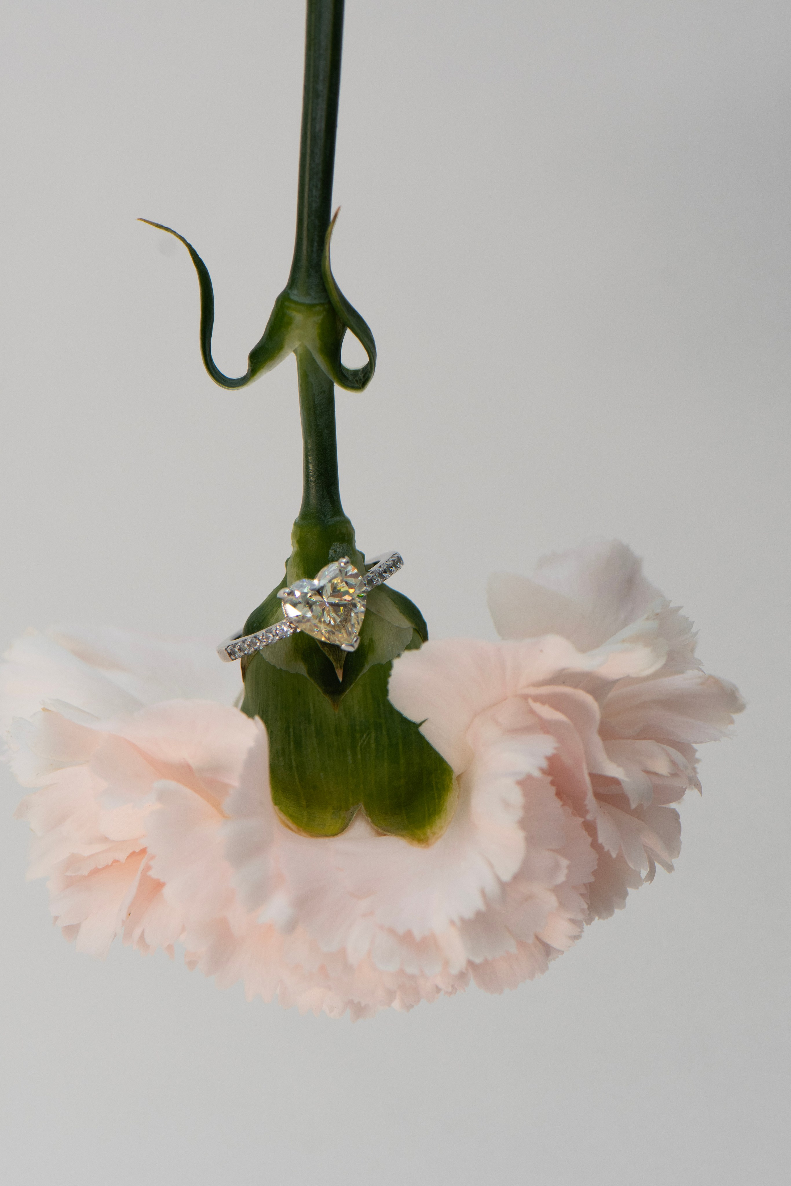 Предметная съёмка. Украшения. Главная