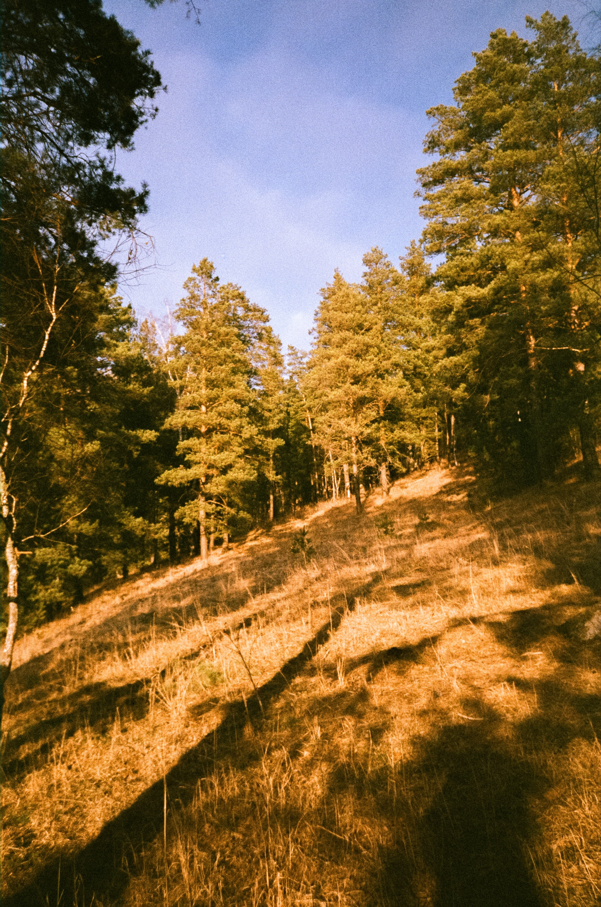 Поле у вертолетной площадки в день зимнего солнцестояния / 22 декабря