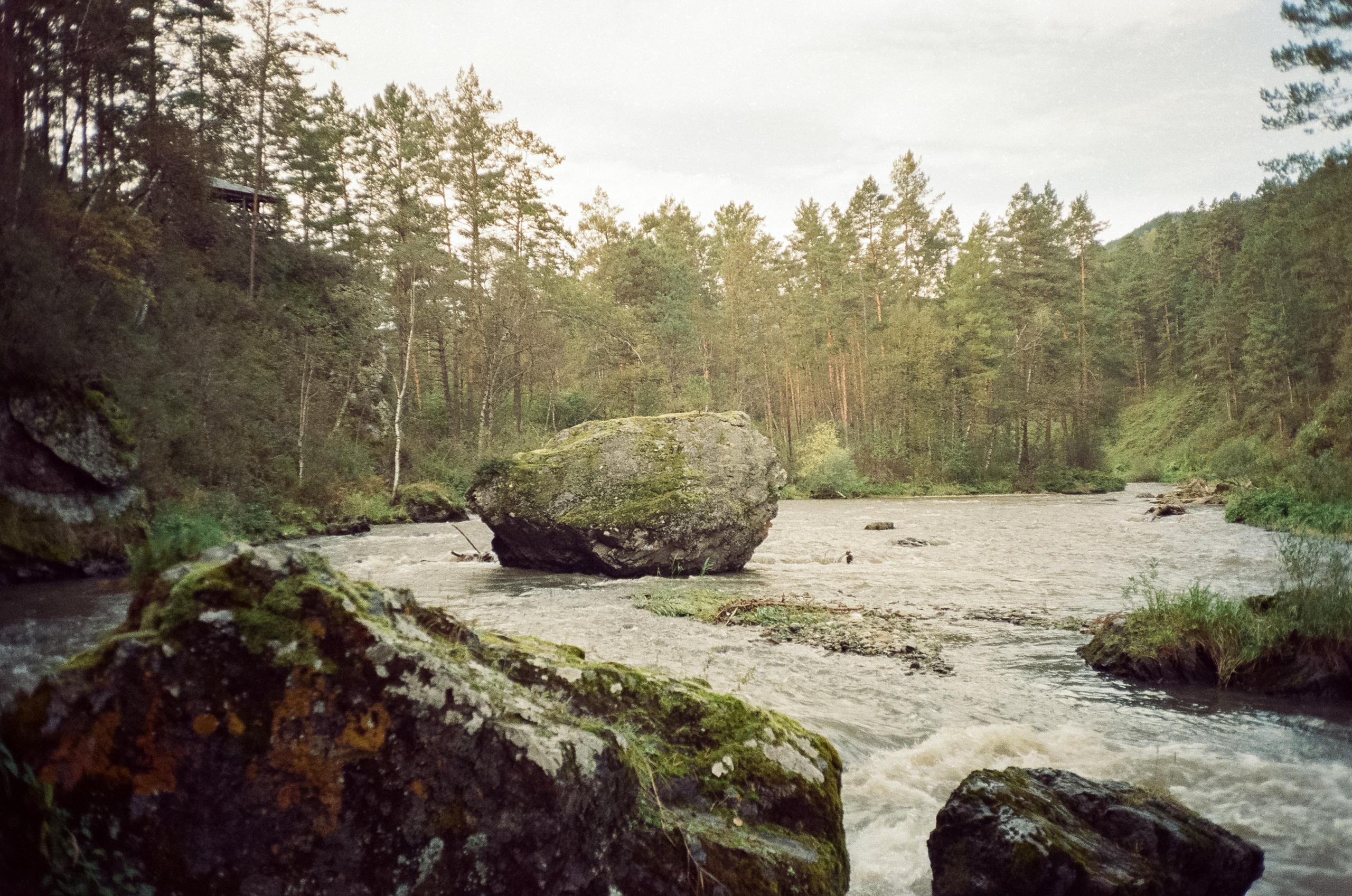 Горно-алтайский ботанический сад