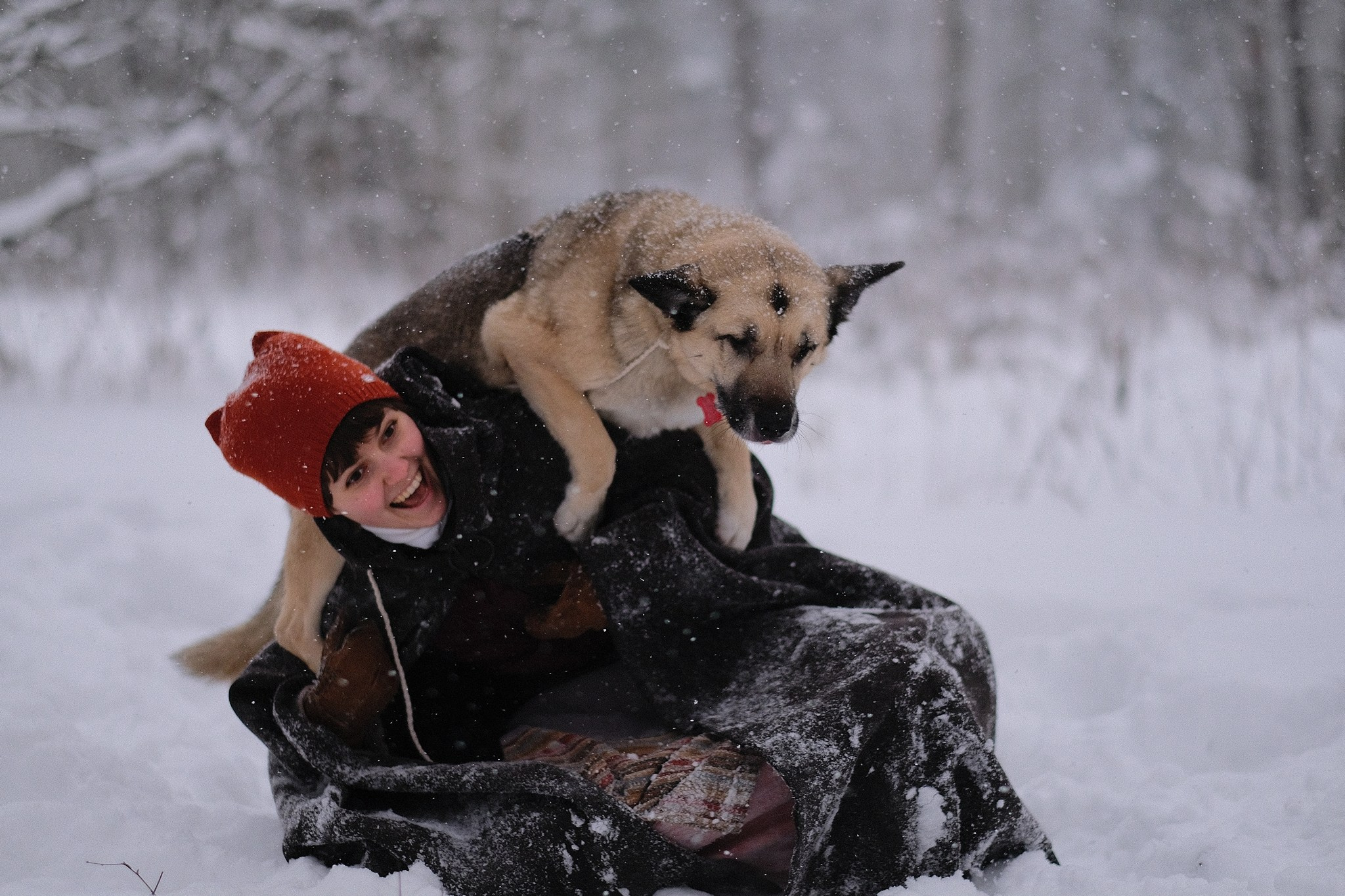 Герда, Лиса и их люди. Дмитрий Бречалов