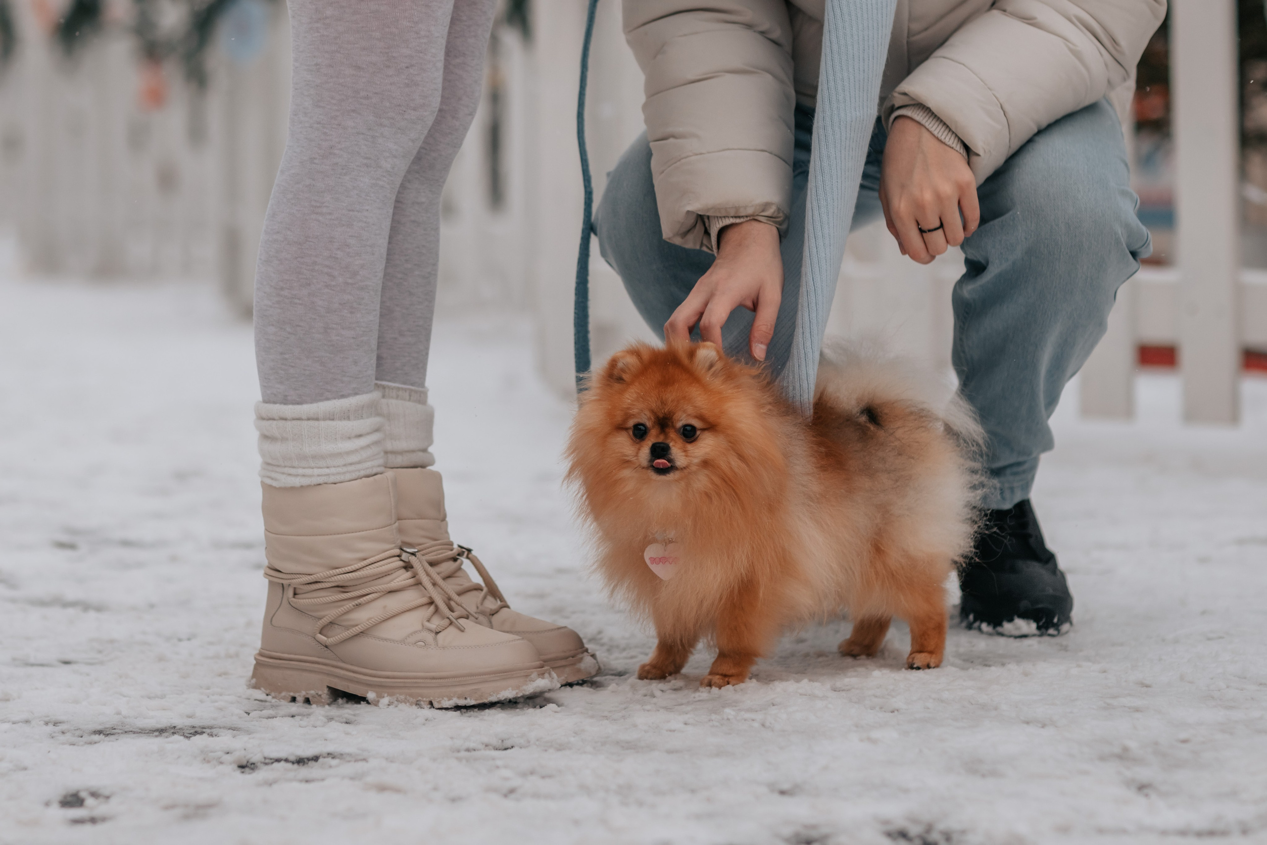 Тоффи и семья на новогодней ярмарке. Семейный фотограф анималист Мария Крючкова