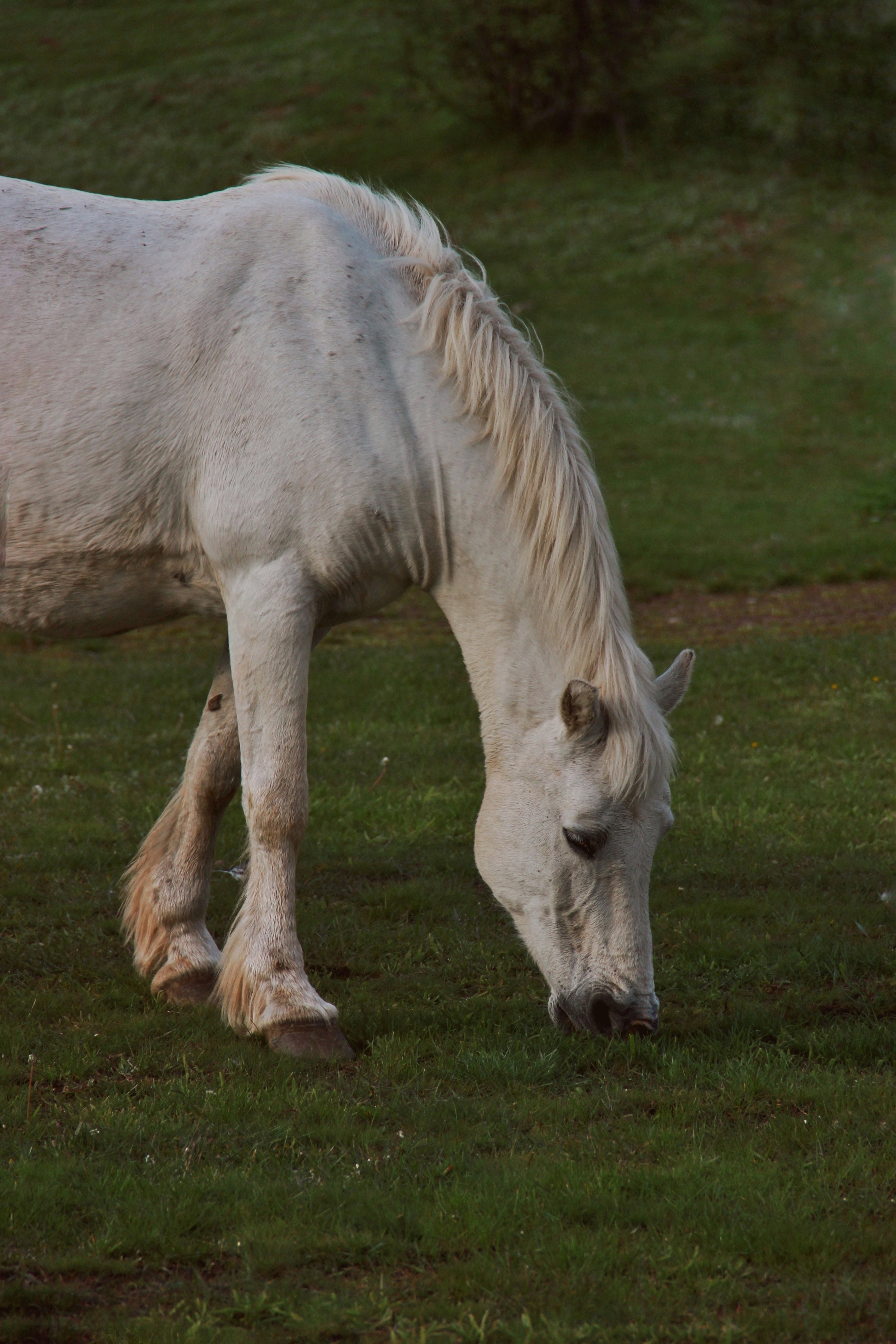 Крым. Фотограф и видеограф в Санкт-Петербурге