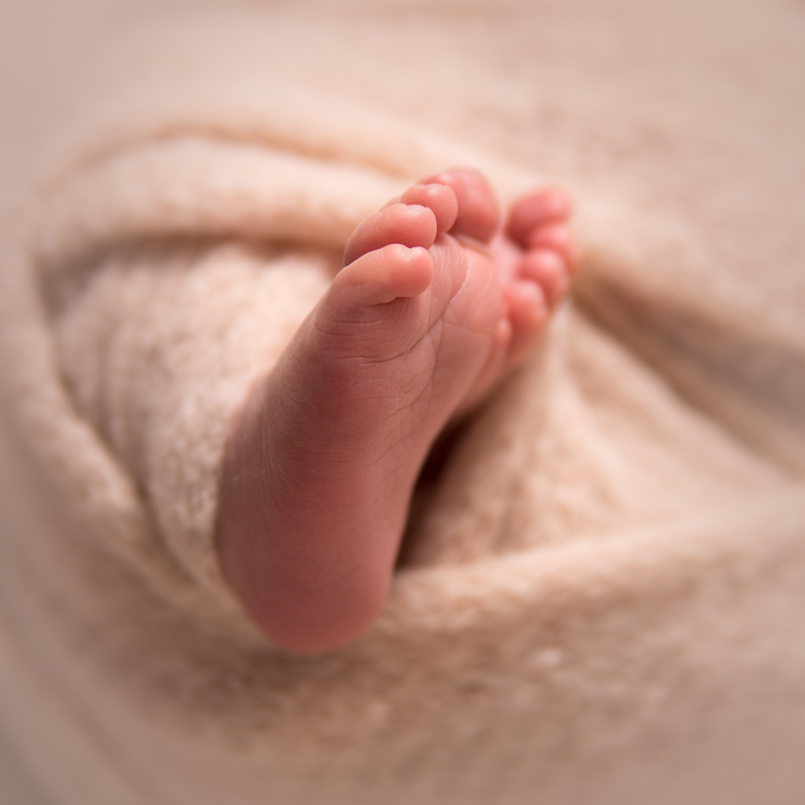 Новорожденные. Фотограф в Новосибирске