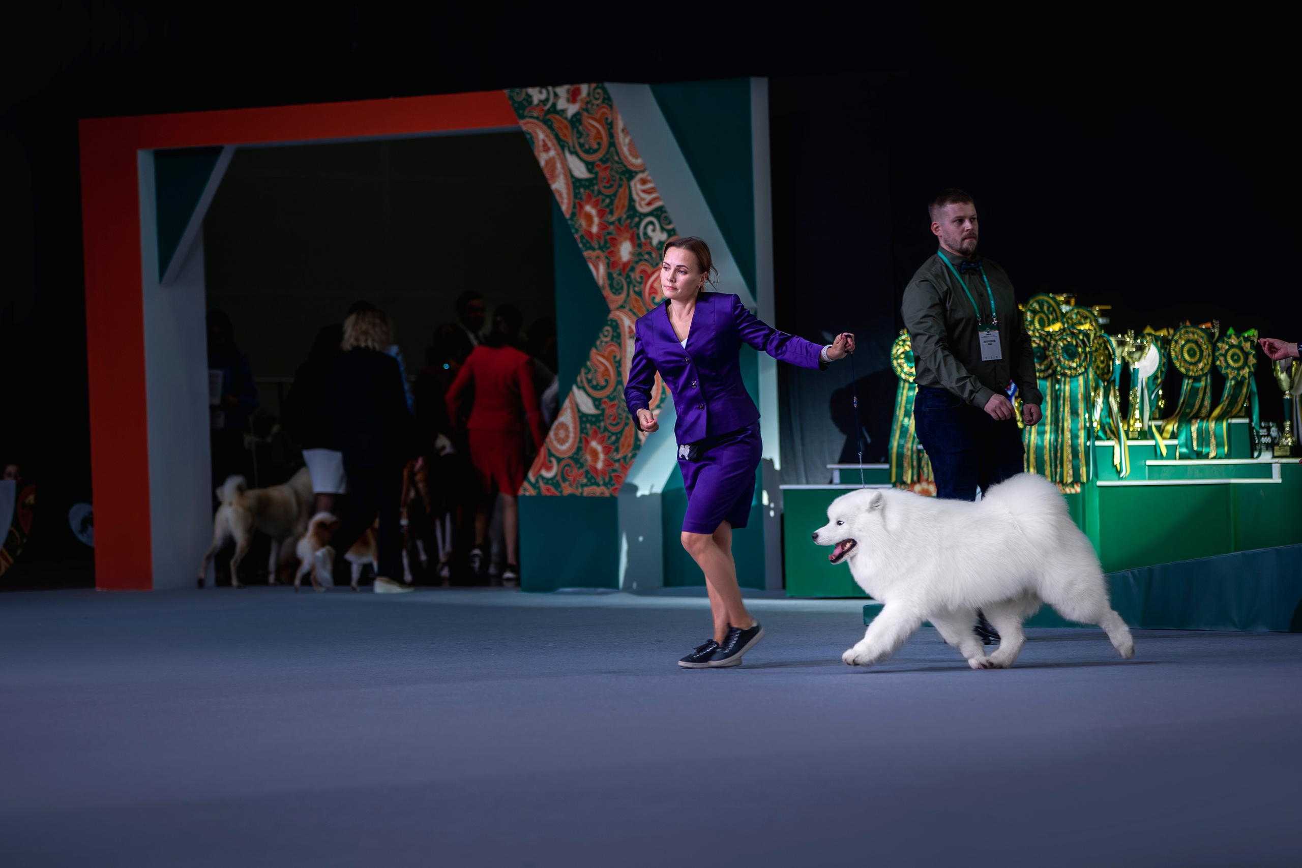 Евразия 2023. Фотограф анималист в Москве Майорова Евгения