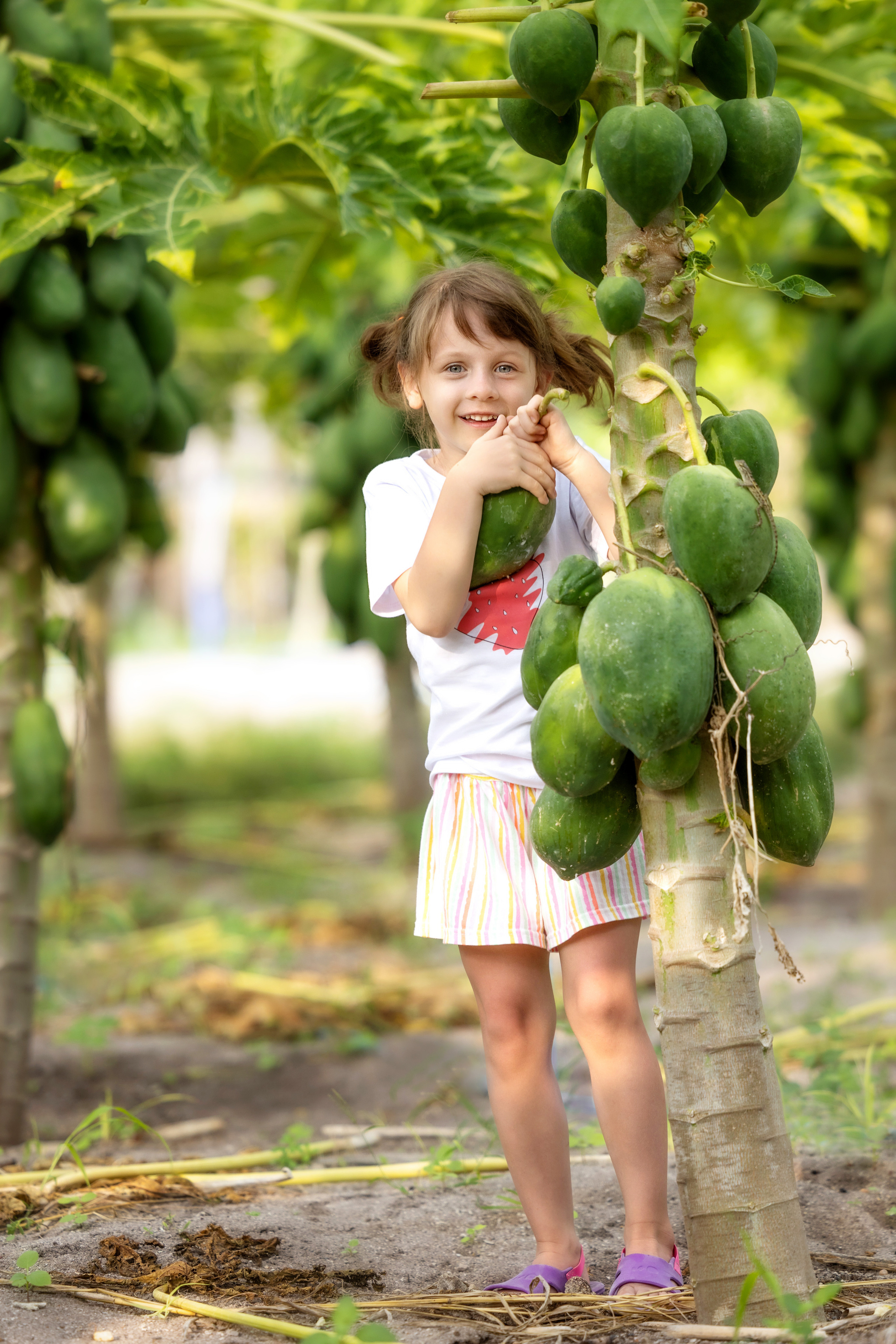 Фотосессия на Мальдивах , на плантации папайи
