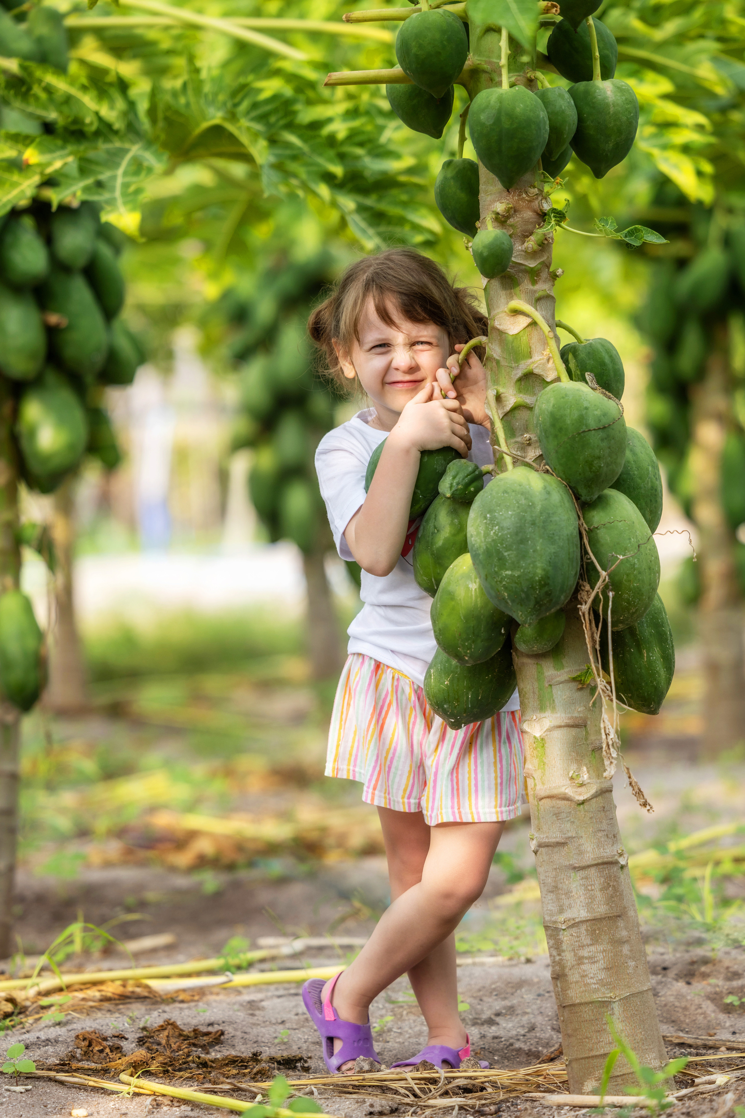 Детская фотосессия на Мальдивах , остров Tодду на плантациях папайи