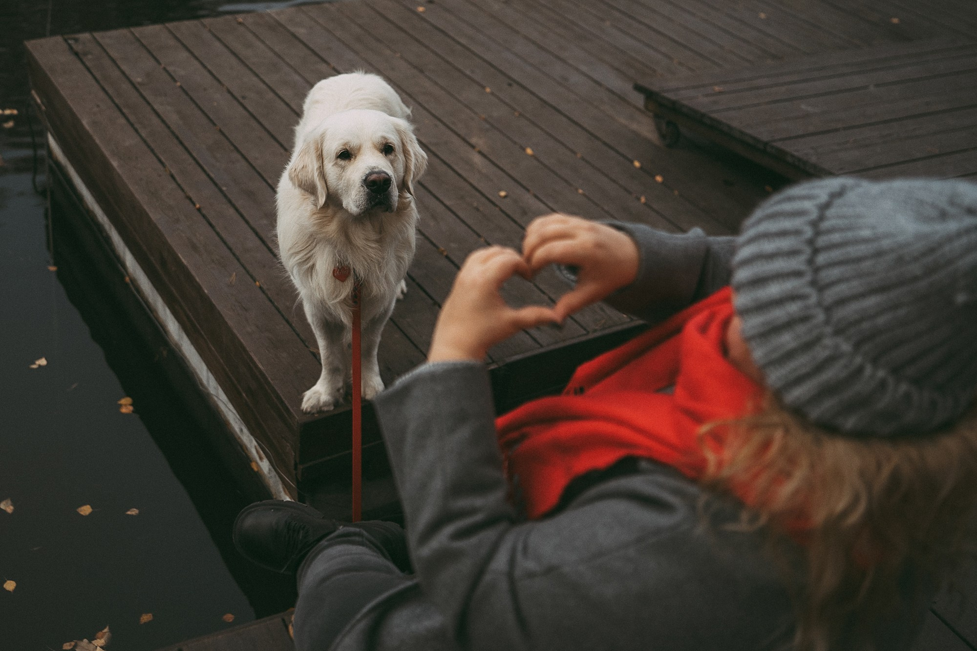 Лена и Мерлин. Фотограф анималист в Москве и Санкт-Петербурге Свиридова Анна
