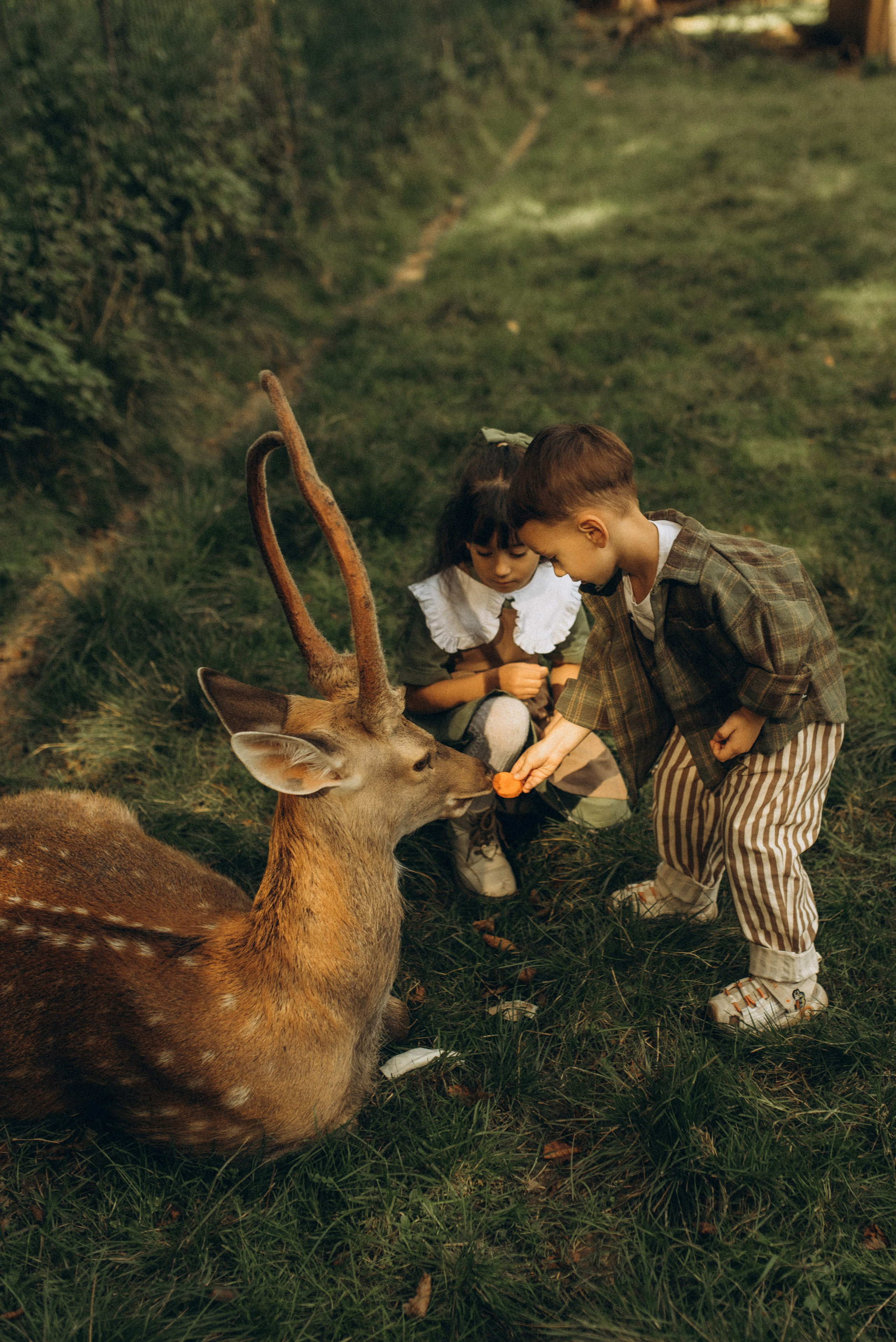 Прогулка к оленям. Семейный фотограф в Москве Екатерина Север