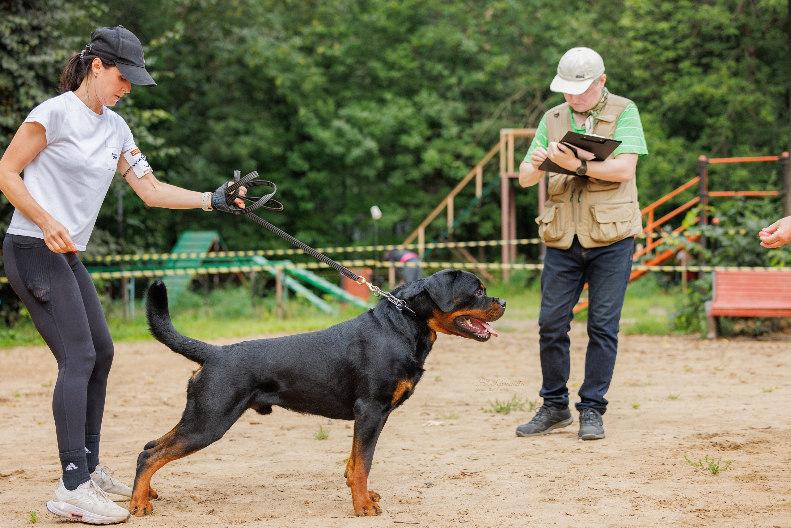 Рязань-Ховрино 10-11.08.2024 3хмоно ротвейлеров. Фотограф-анималист Юлия Германика