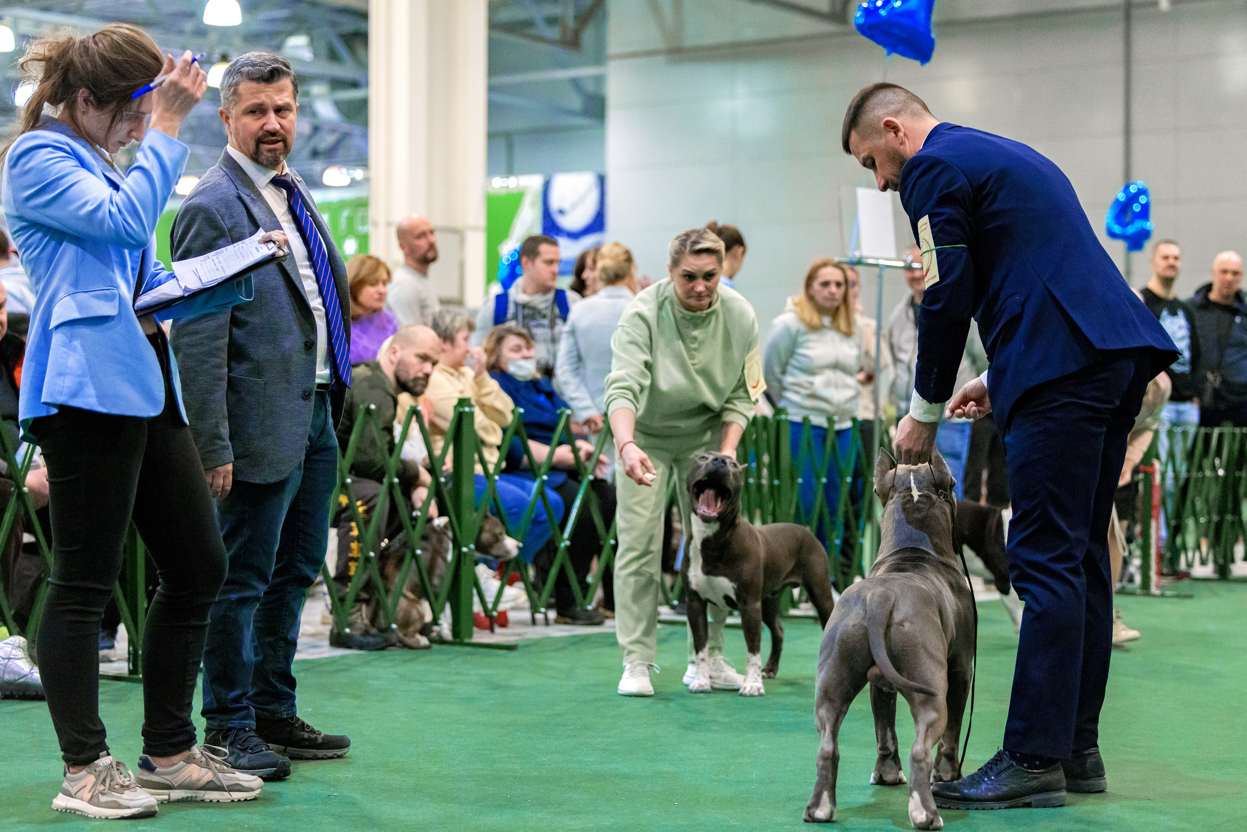 Крокус 3,9 и 10.12.2023. Фотограф-анималист Юлия Германика