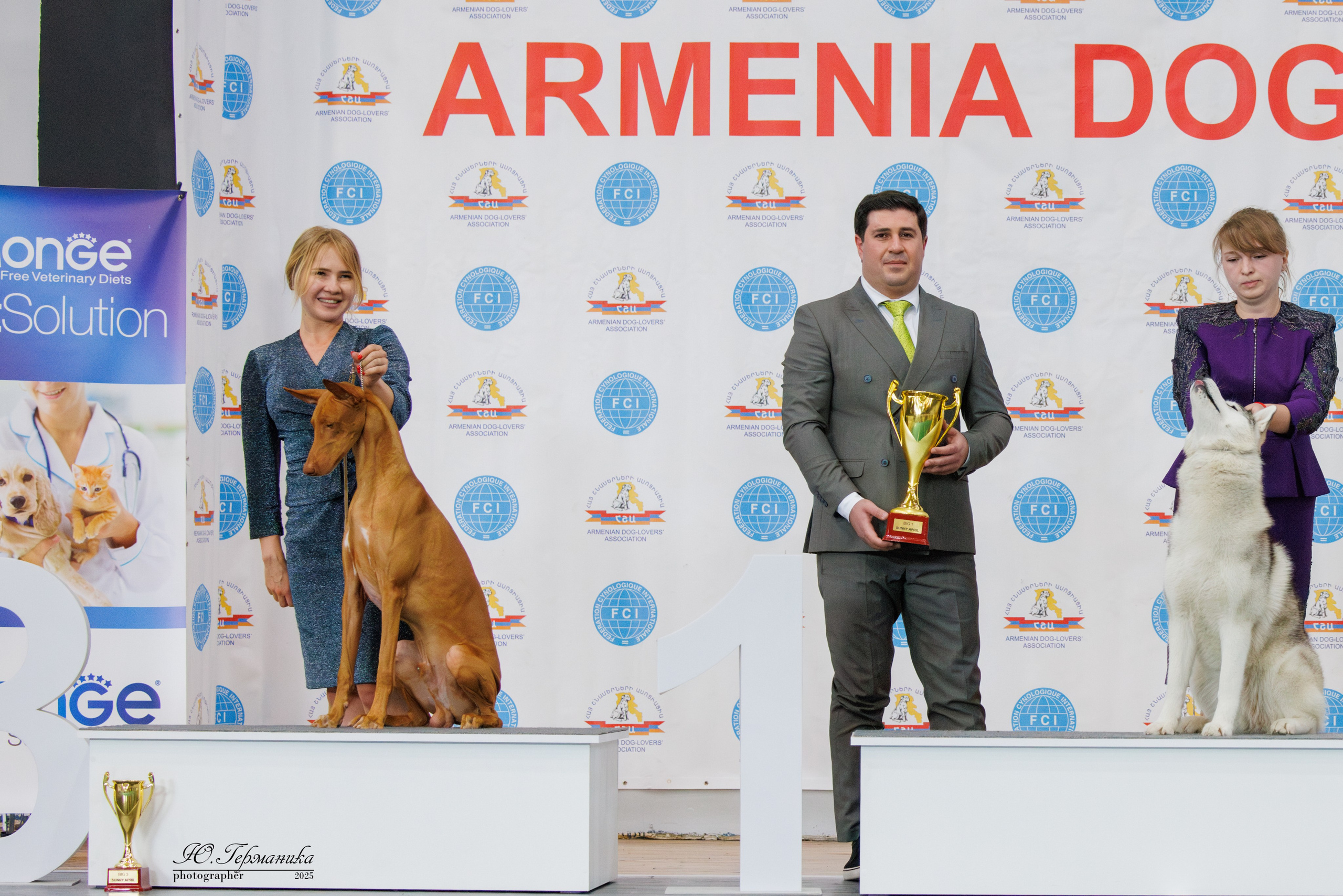 Ереван 2х CACIB 29-30.04.2025. Фотограф-анималист Юлия Германика