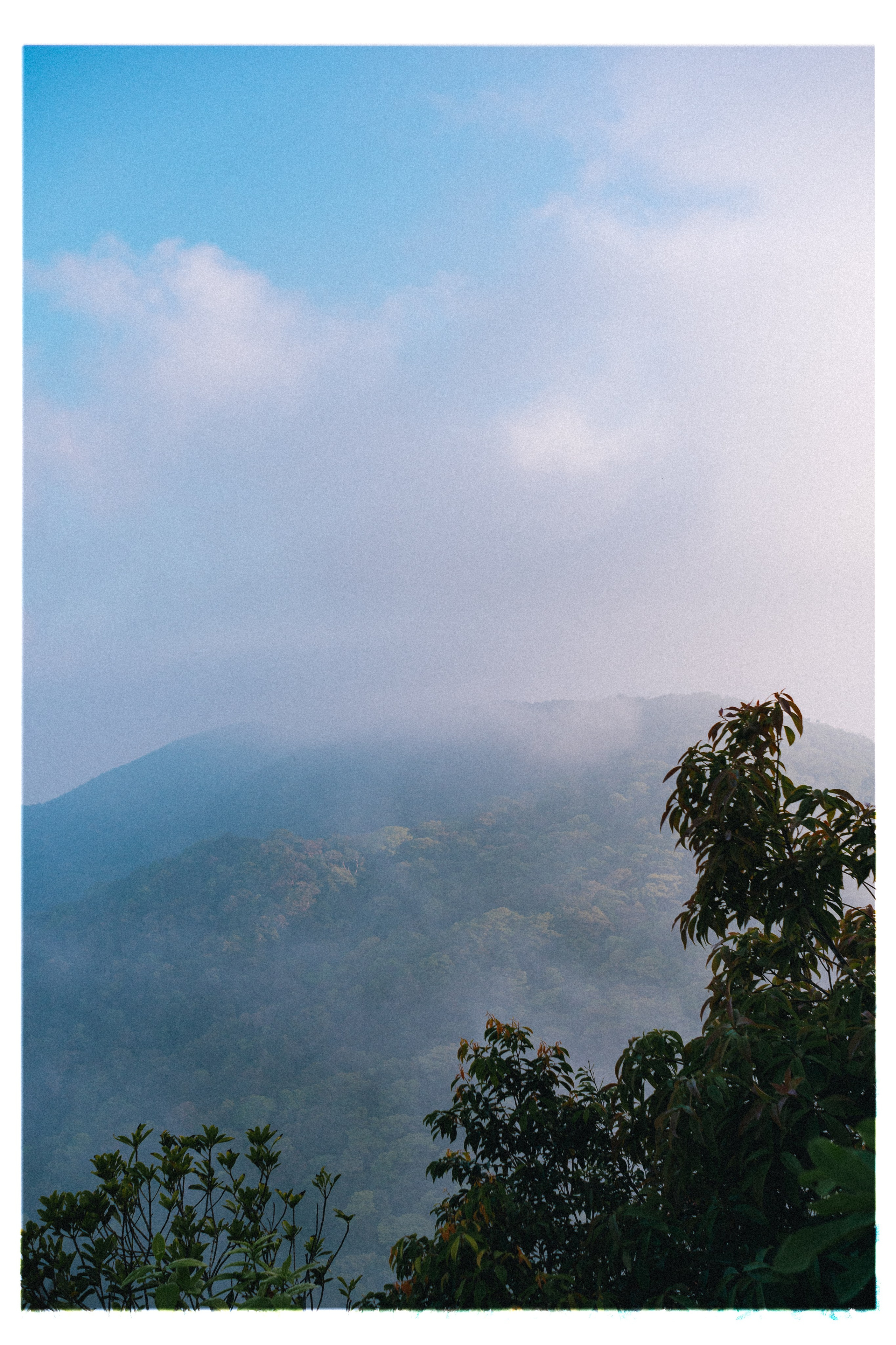 PAHNGAN 26. Свадебный и семейный фотограф Никита Корохов