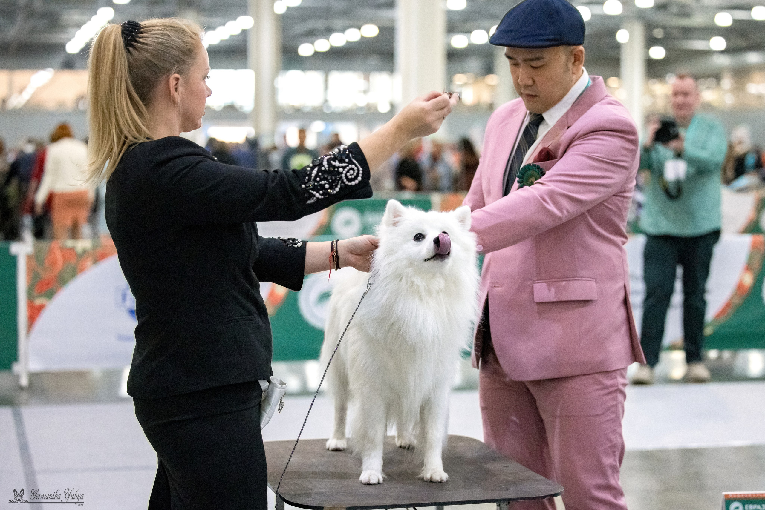 ЕВРАЗИЯ 18-19.11.2023. Фотограф-анималист Юлия Германика