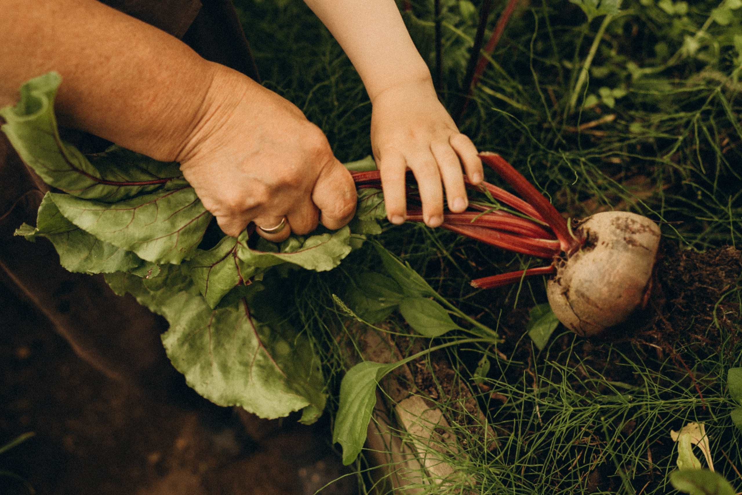 Про домашний уют на севера. Семейный фотограф в Мурманске Екатерина Юшкова