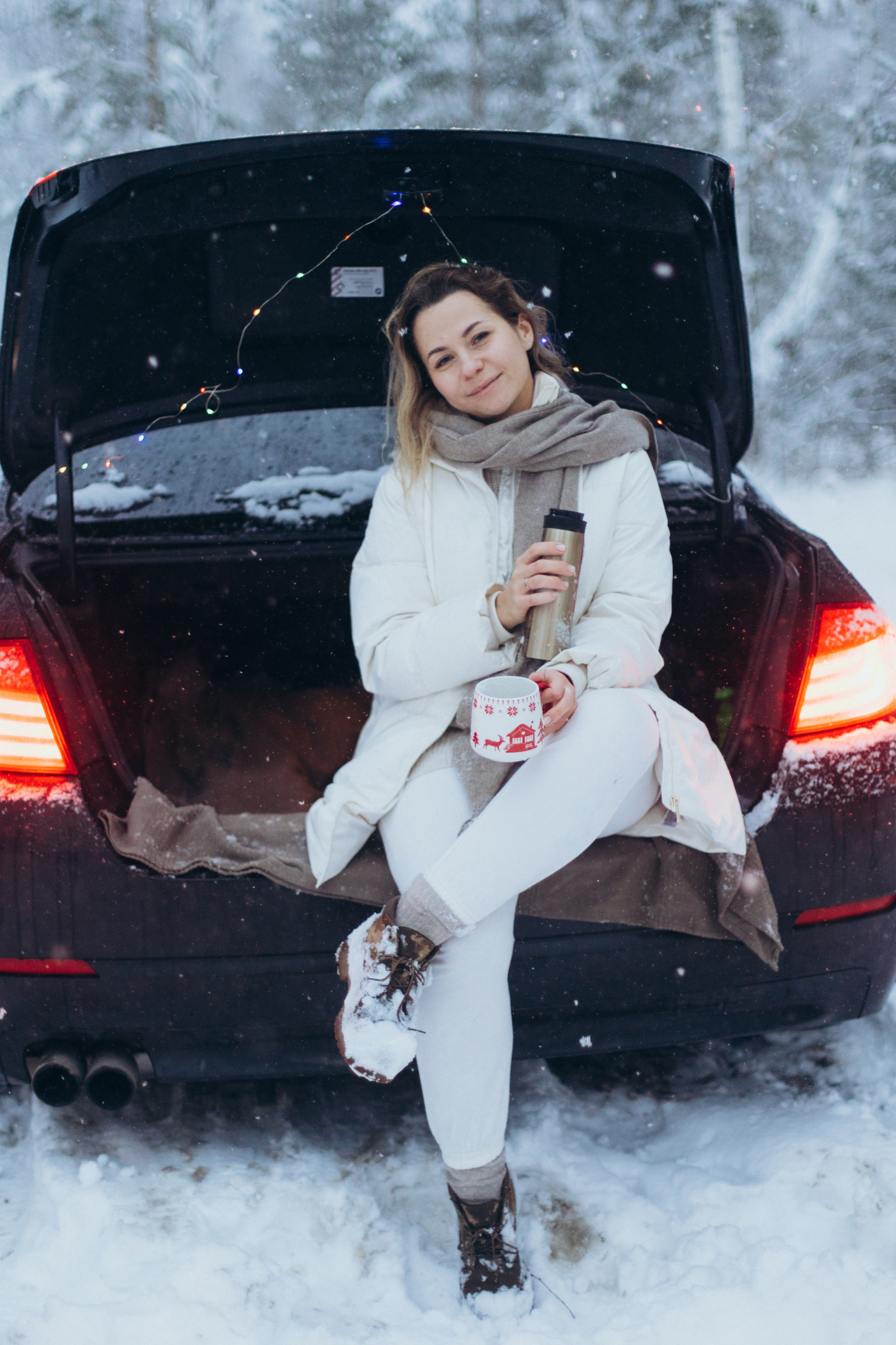 Зимняя история