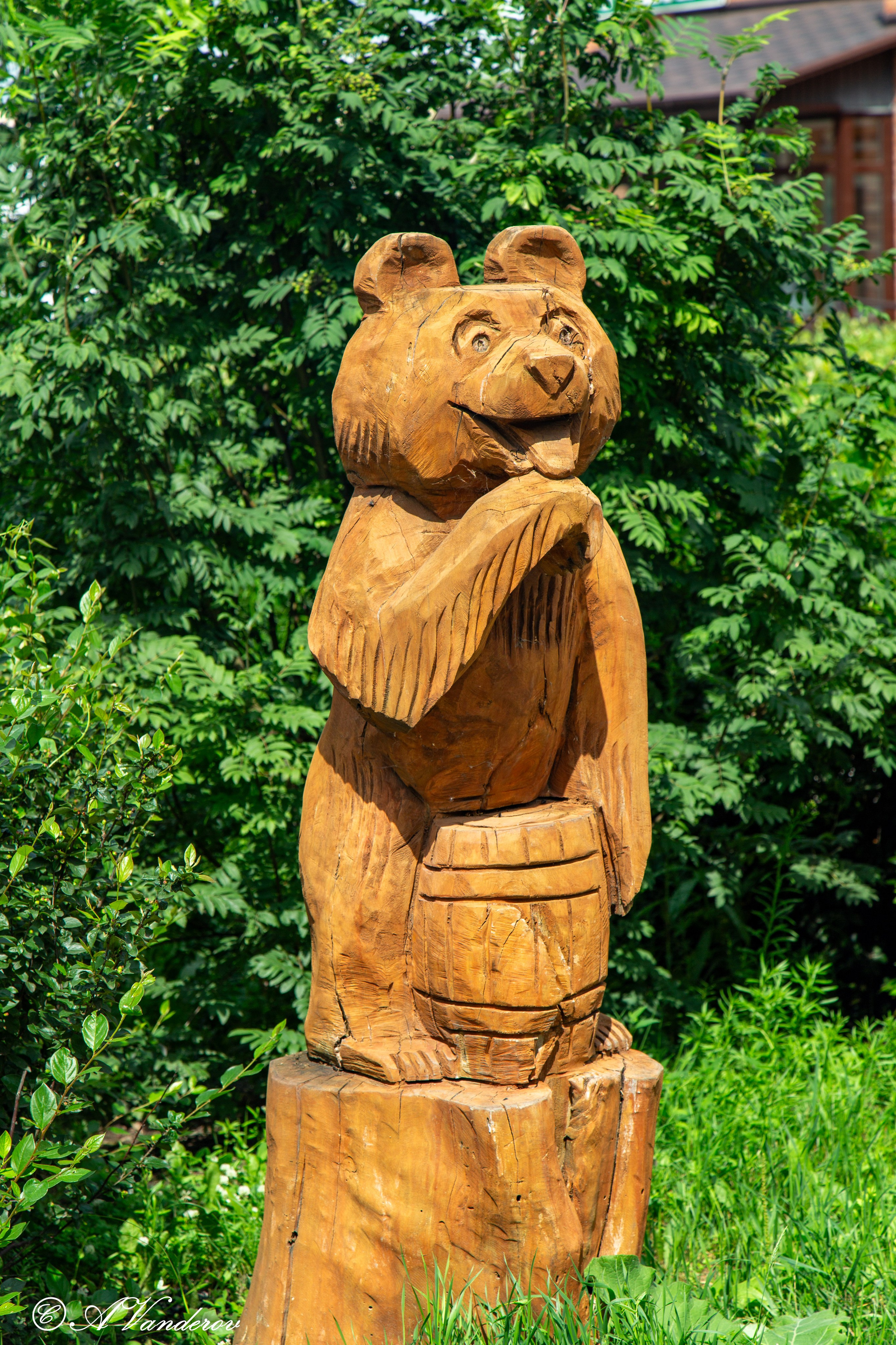 Калачинск 07.07.2024. Фотограф Омск | Александр Вандеров