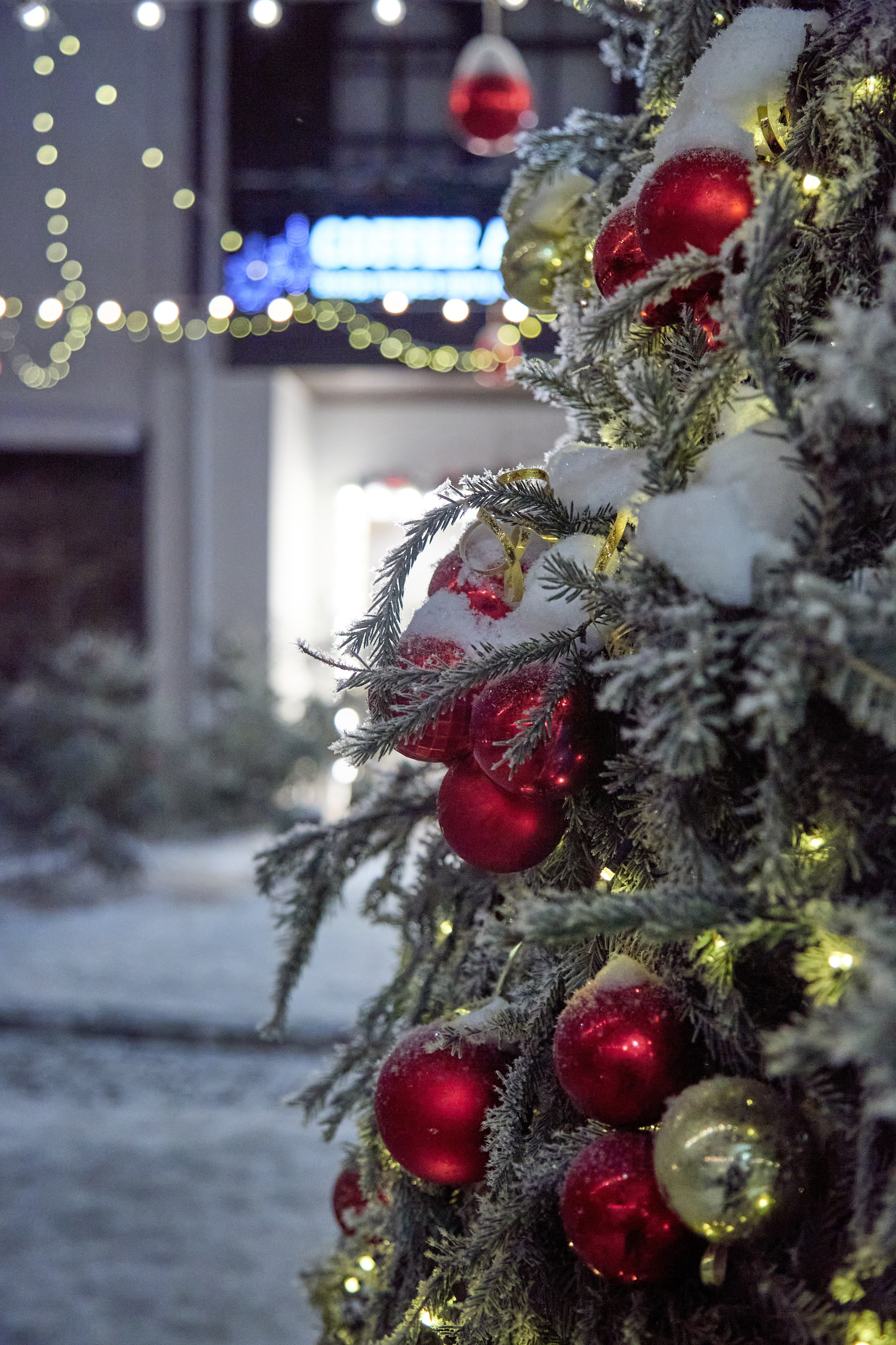 Новогодний Омск 2025. Фотограф Омск | Александр Вандеров