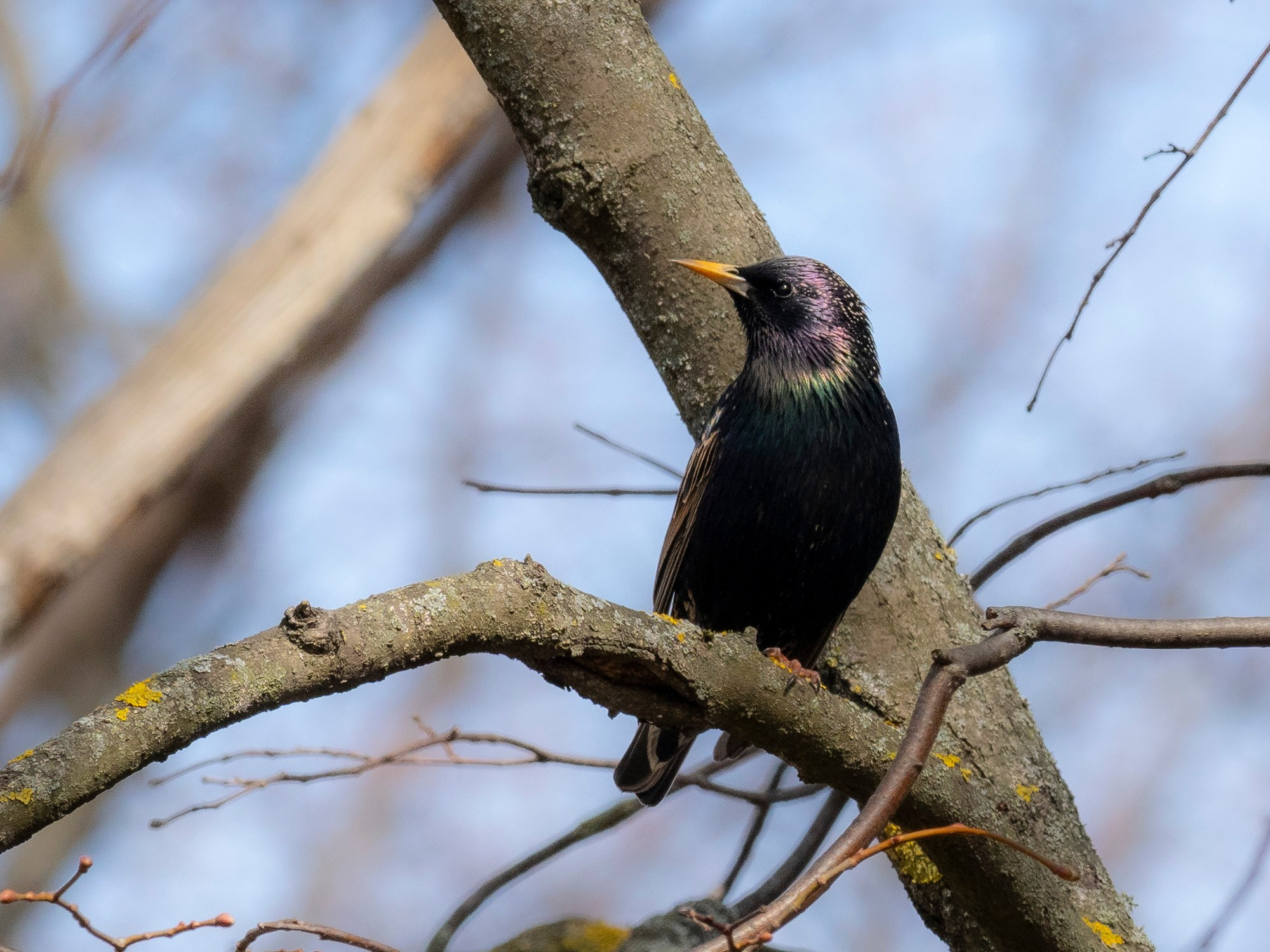 Фотоохота. Вижу