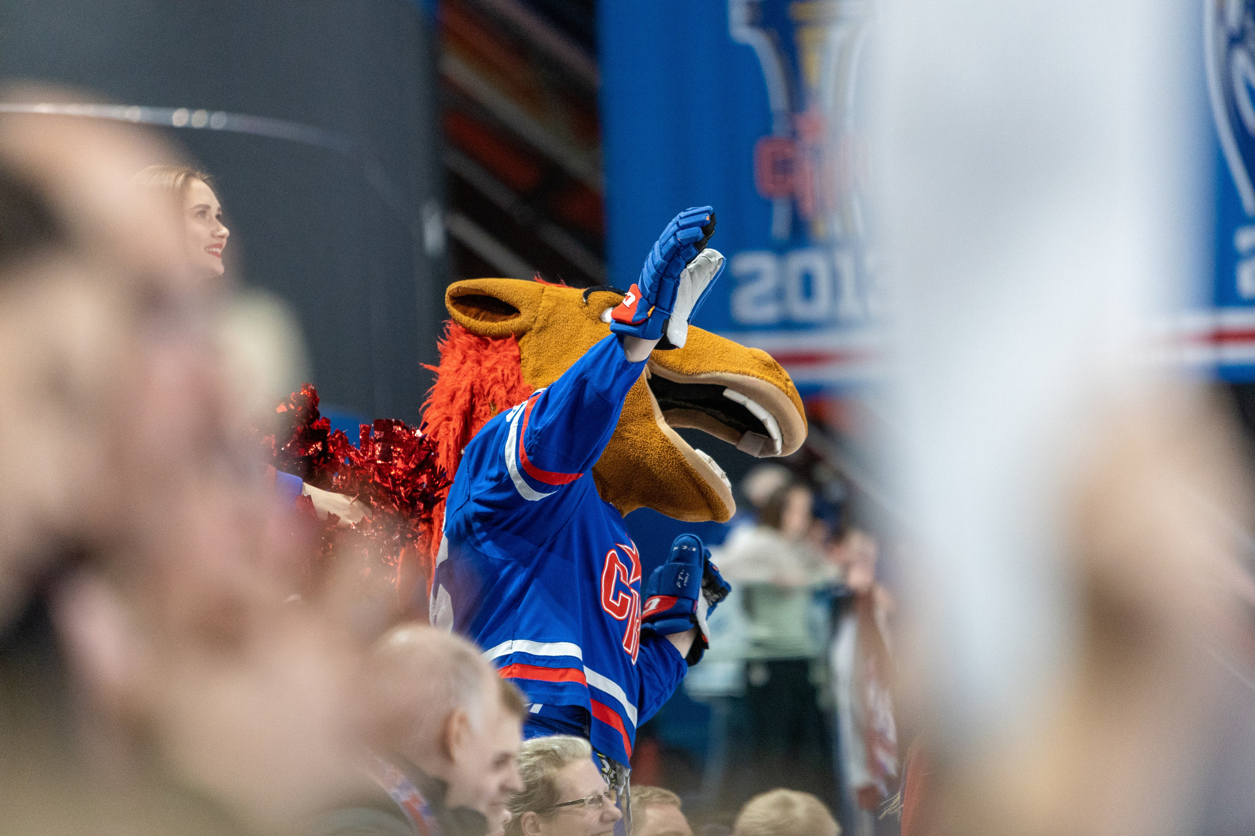 Хоккей СКА-Нева — Динамо-Алтай. Репортажный фотограф Санкт-Петербург | Роман Карбышев