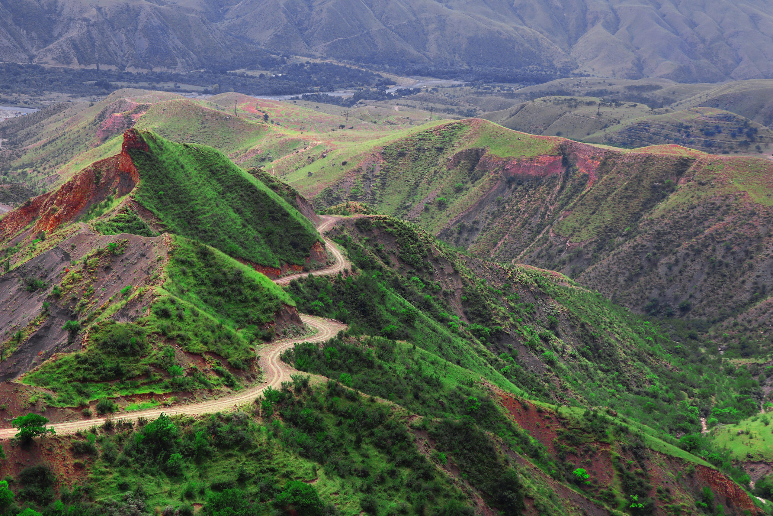 LANDSCAPE ландшафт. Семейный и детский фотограф в Буэнос-Айресе Перевозчикова Анна Fotógrafa de familia y niños en Buenos Aires Perevozchikova Anna