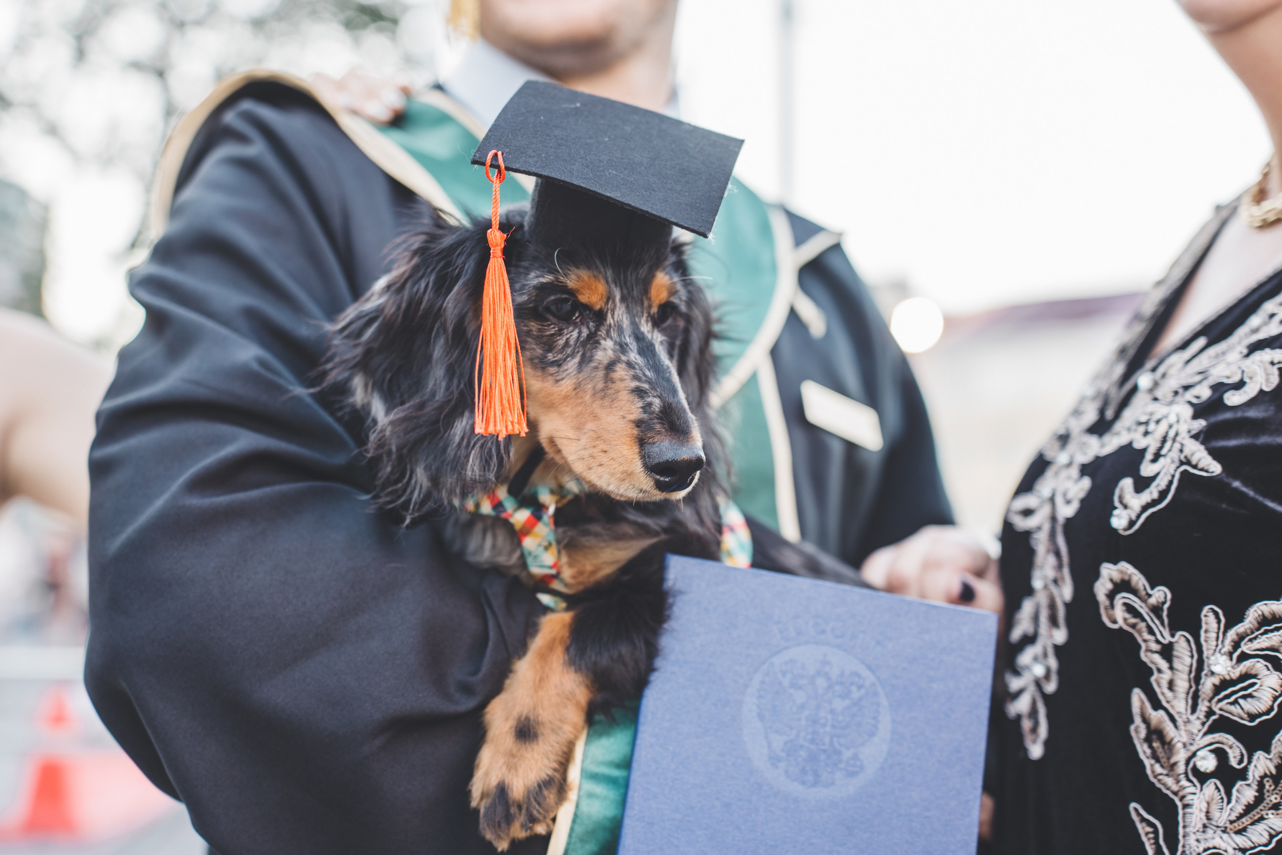 KSMU Students Graduation. Свадебный и семейный видеограф в Курске