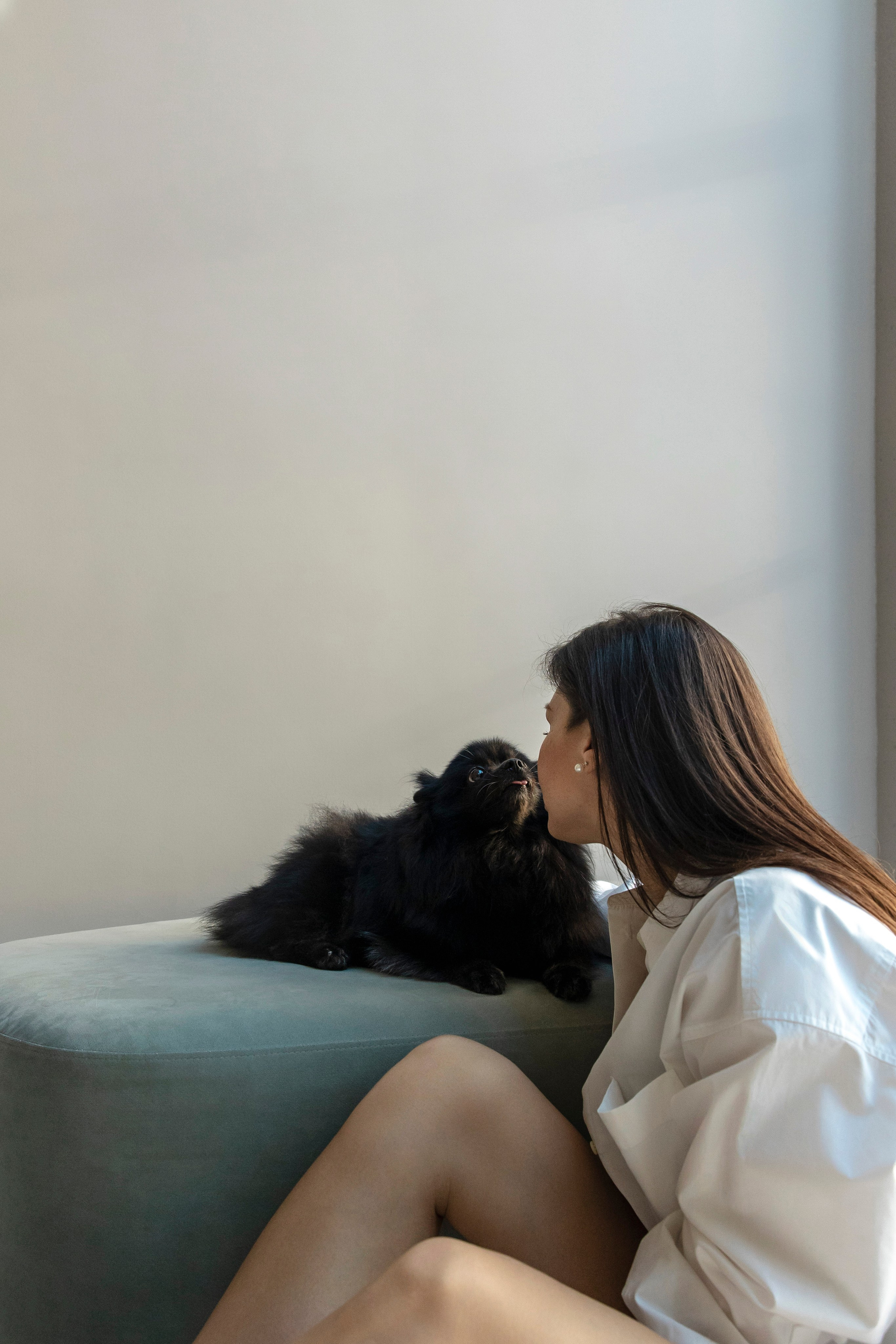 Съемка в студии с собакой. Анастасия Белаш