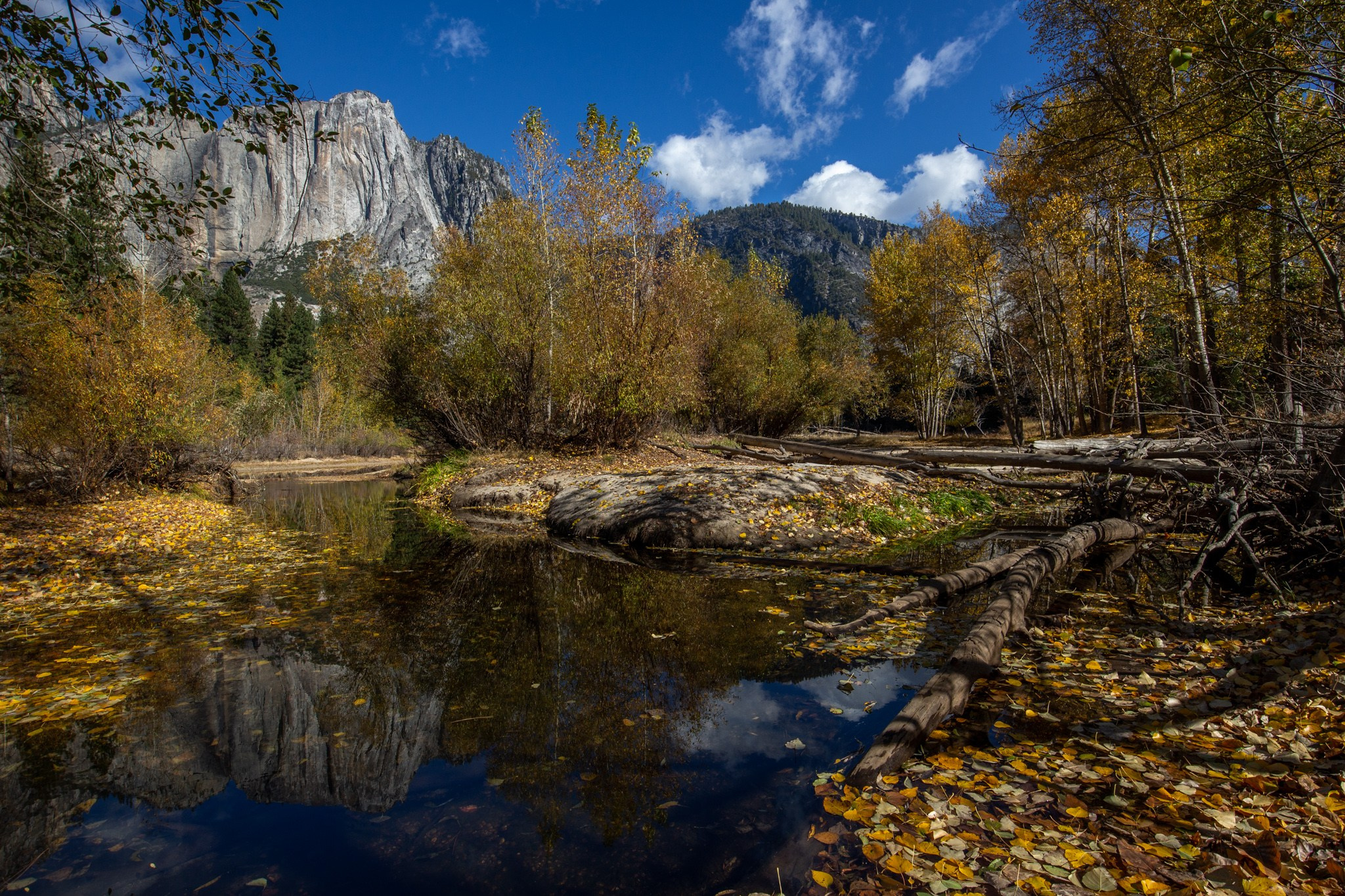 Парк Yosemite, США, 2013. Фотограф Василий Буланов