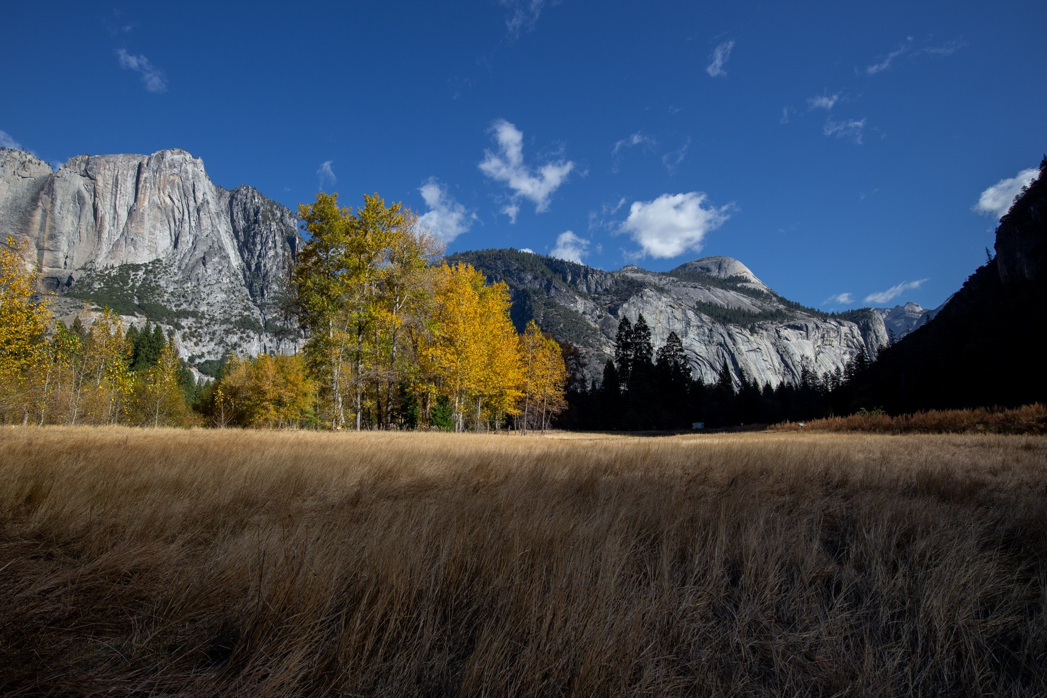 Парк Yosemite, США, 2013. Фотограф Василий Буланов