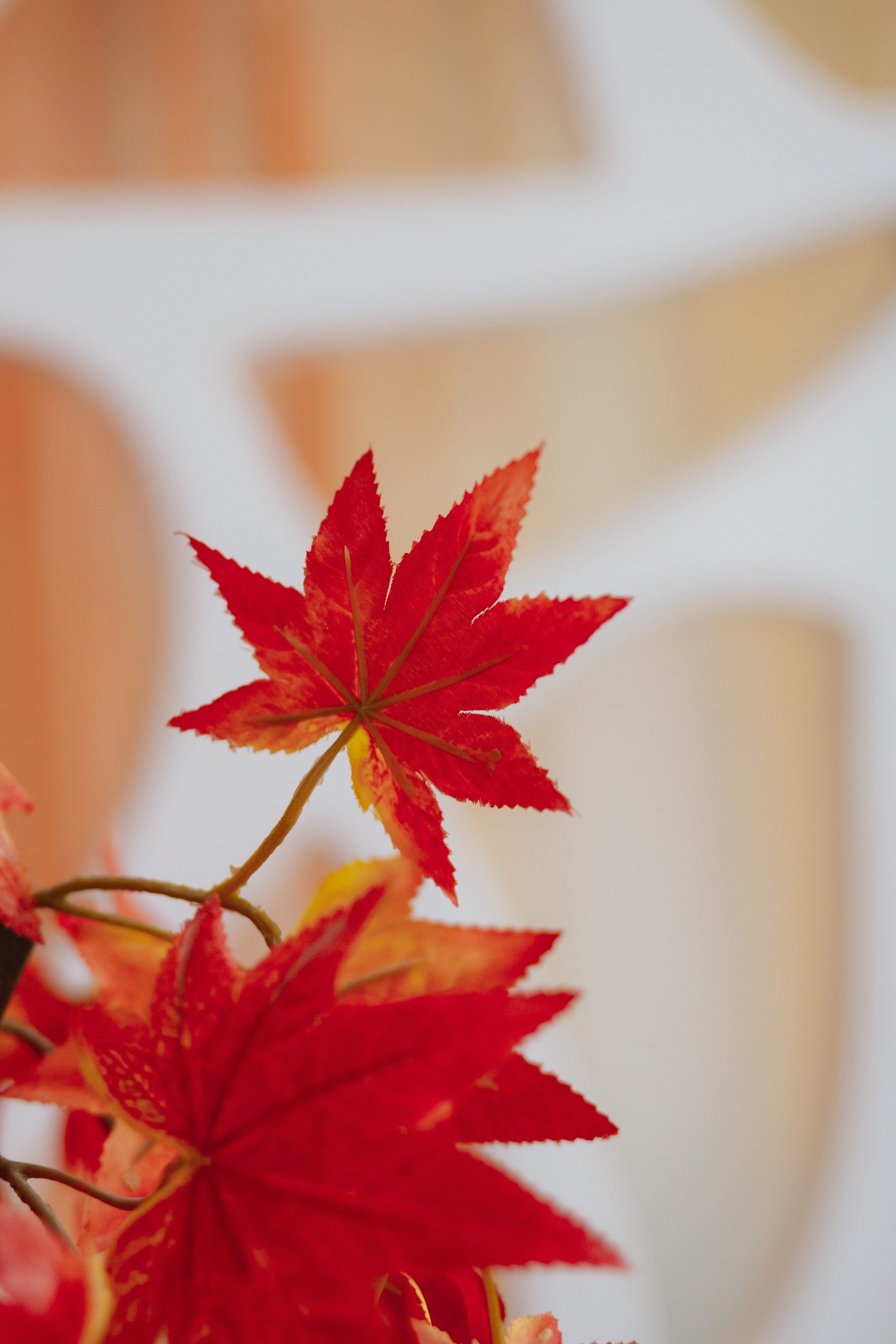 Отзывы. Семейный фотограф в Челябинске Ксения Зубкова