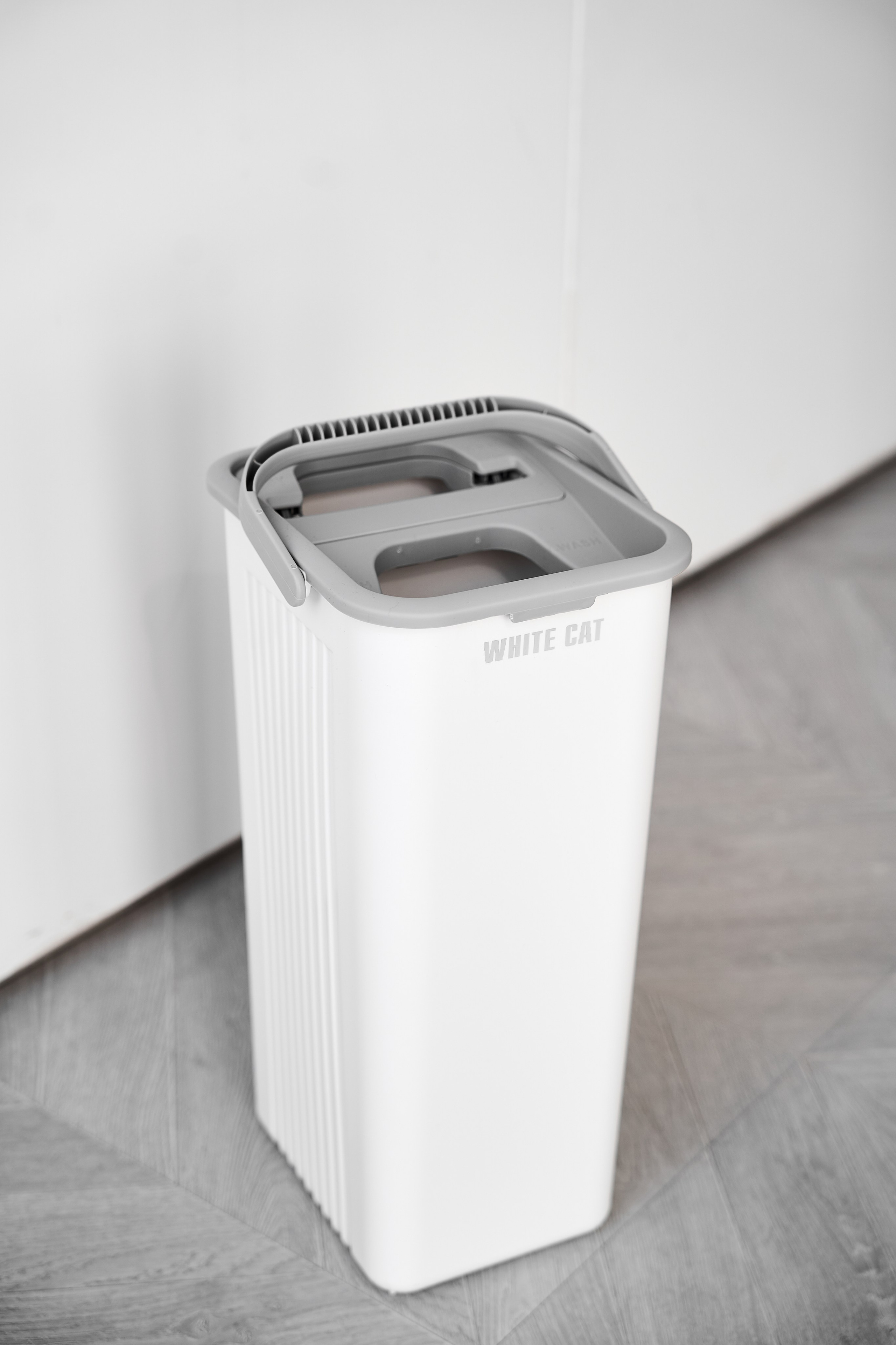 White cat. Фотограф в Москве Казакова Анна