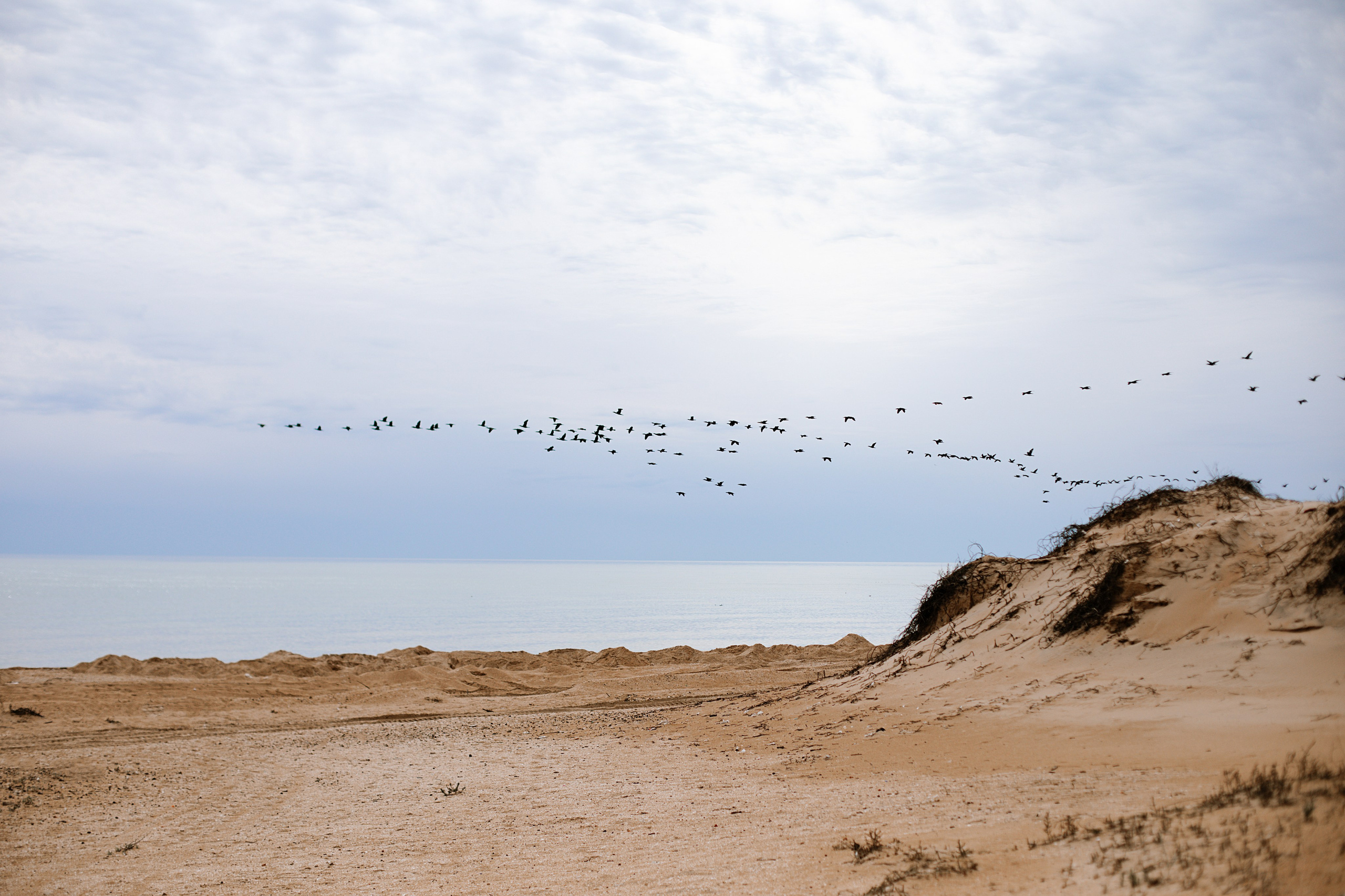 Природа. Свадебный и семейный фотограф/видеограф в Краснодаре Наталья Осинская
