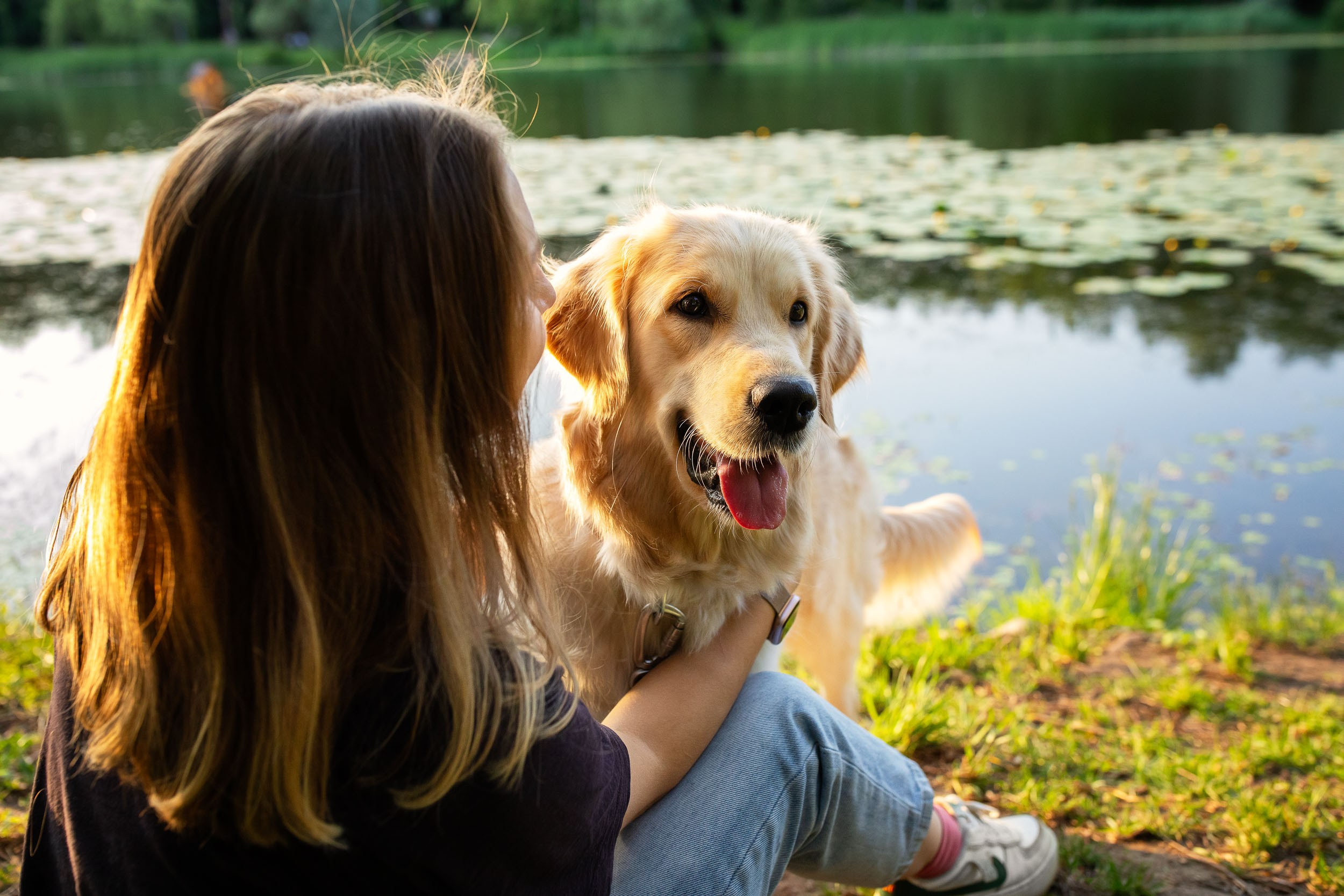 Фотопрогулка для четырех человек с собаками. Фотограф-анималист в Москве и Московской области Татьяна Фролова