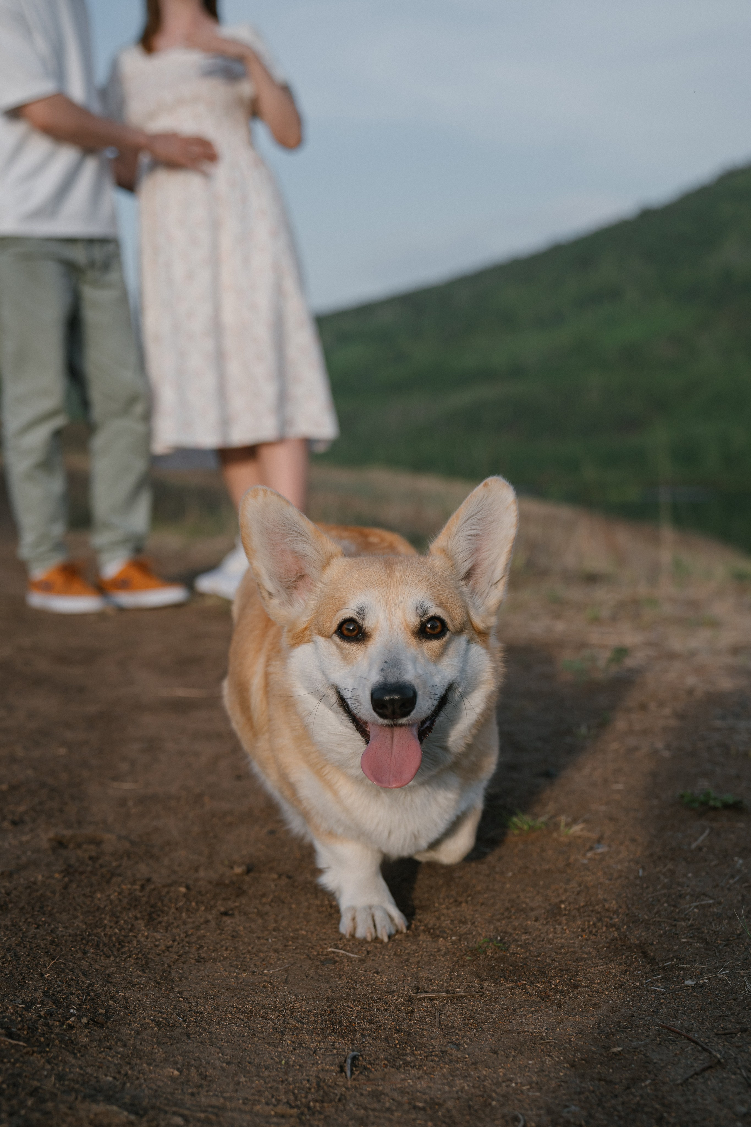 На закате. Евгения Арефьева — свадебный и портретный фотограф в Чите