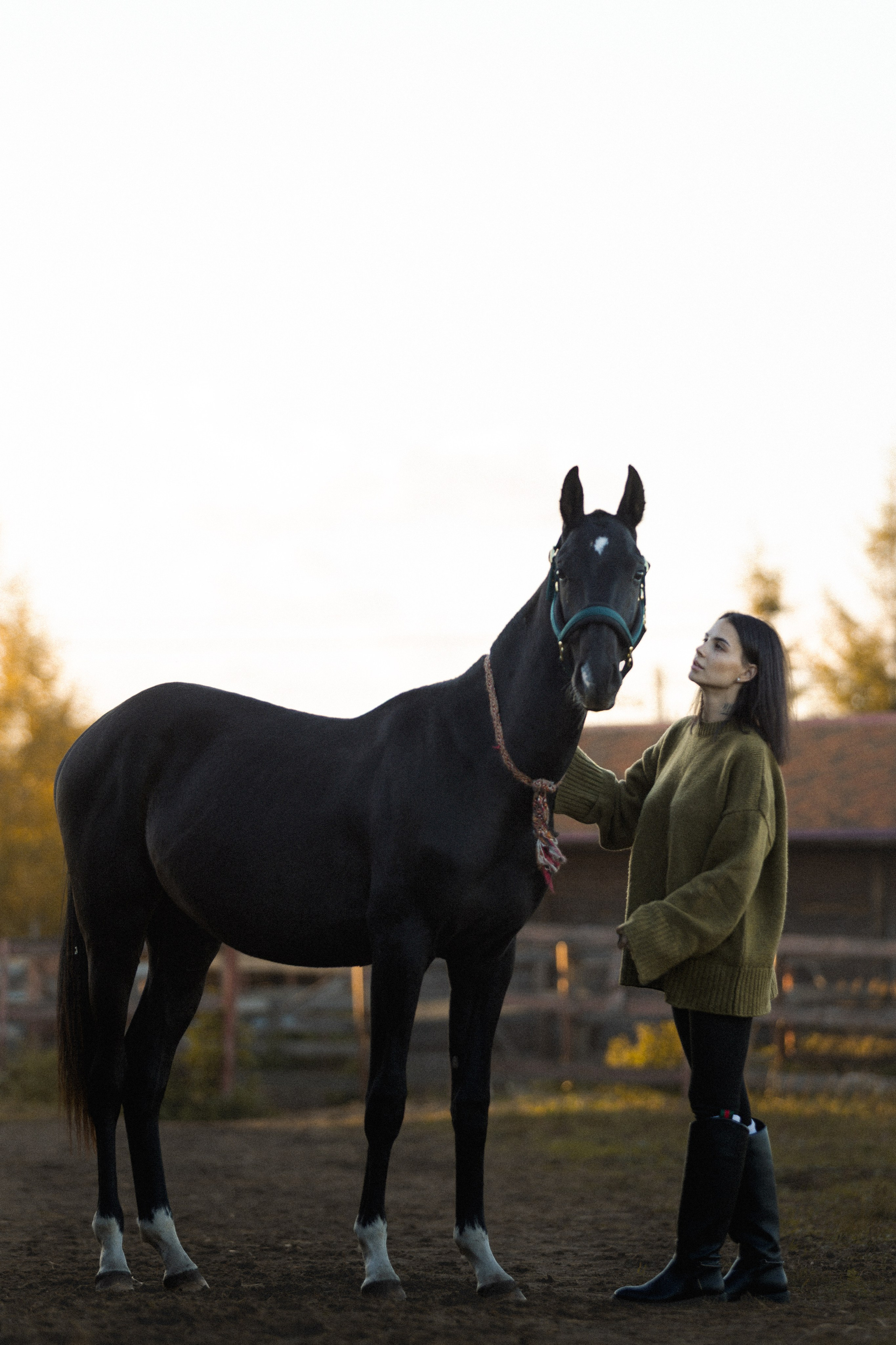 Alexandra&Persival. Niksssonphoto