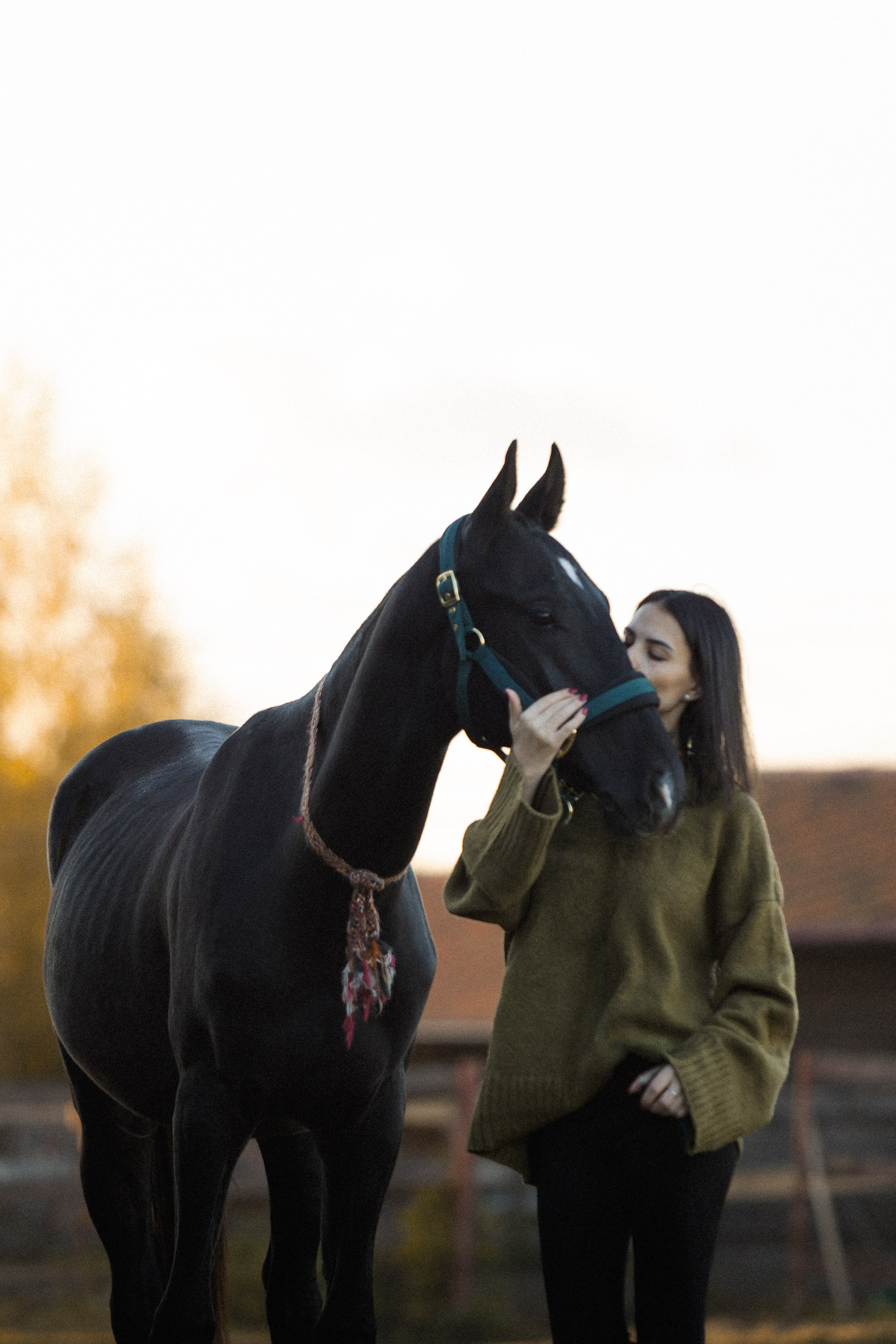 Alexandra&Persival. Niksssonphoto