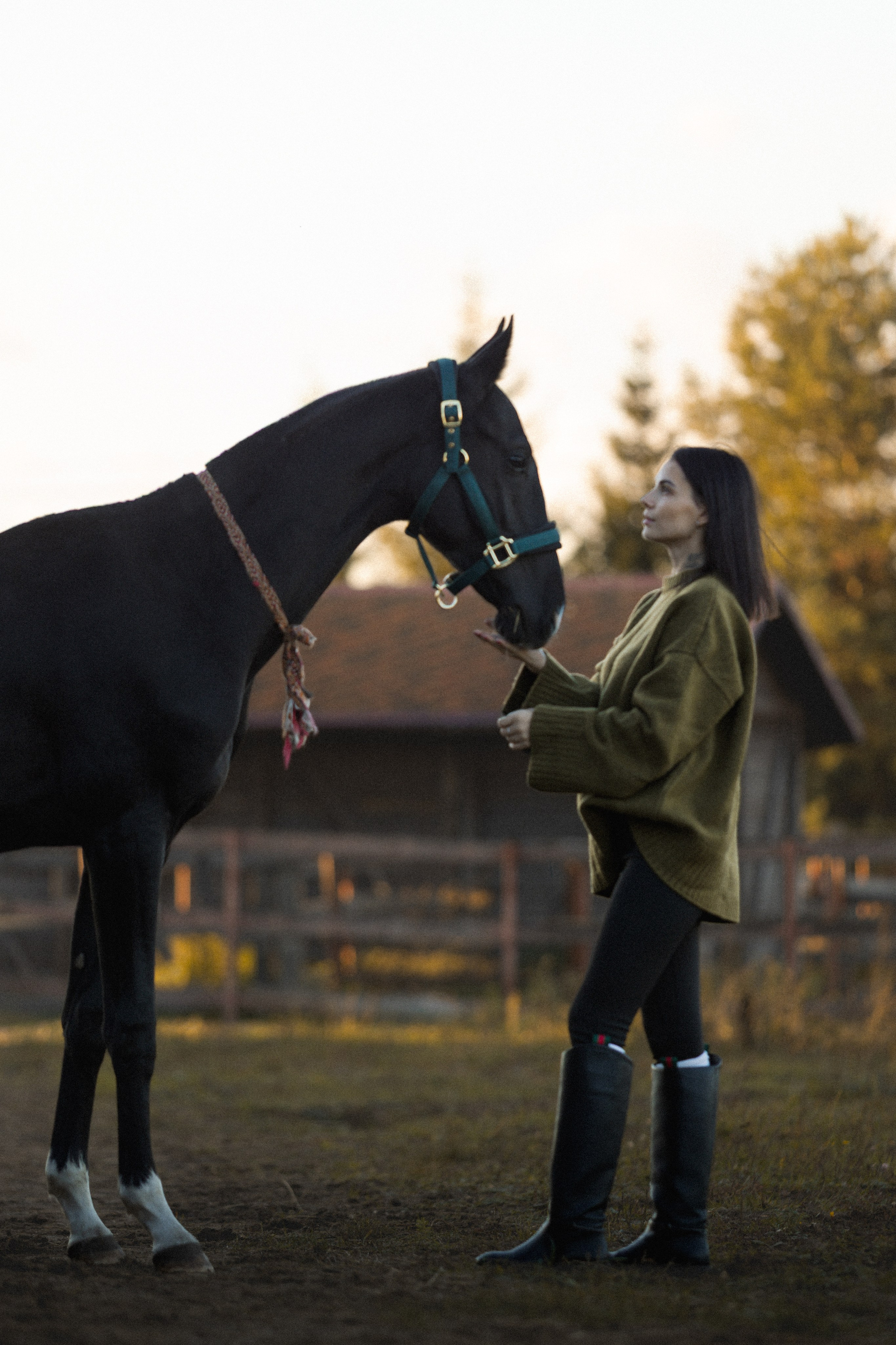 Alexandra&Persival. Niksssonphoto