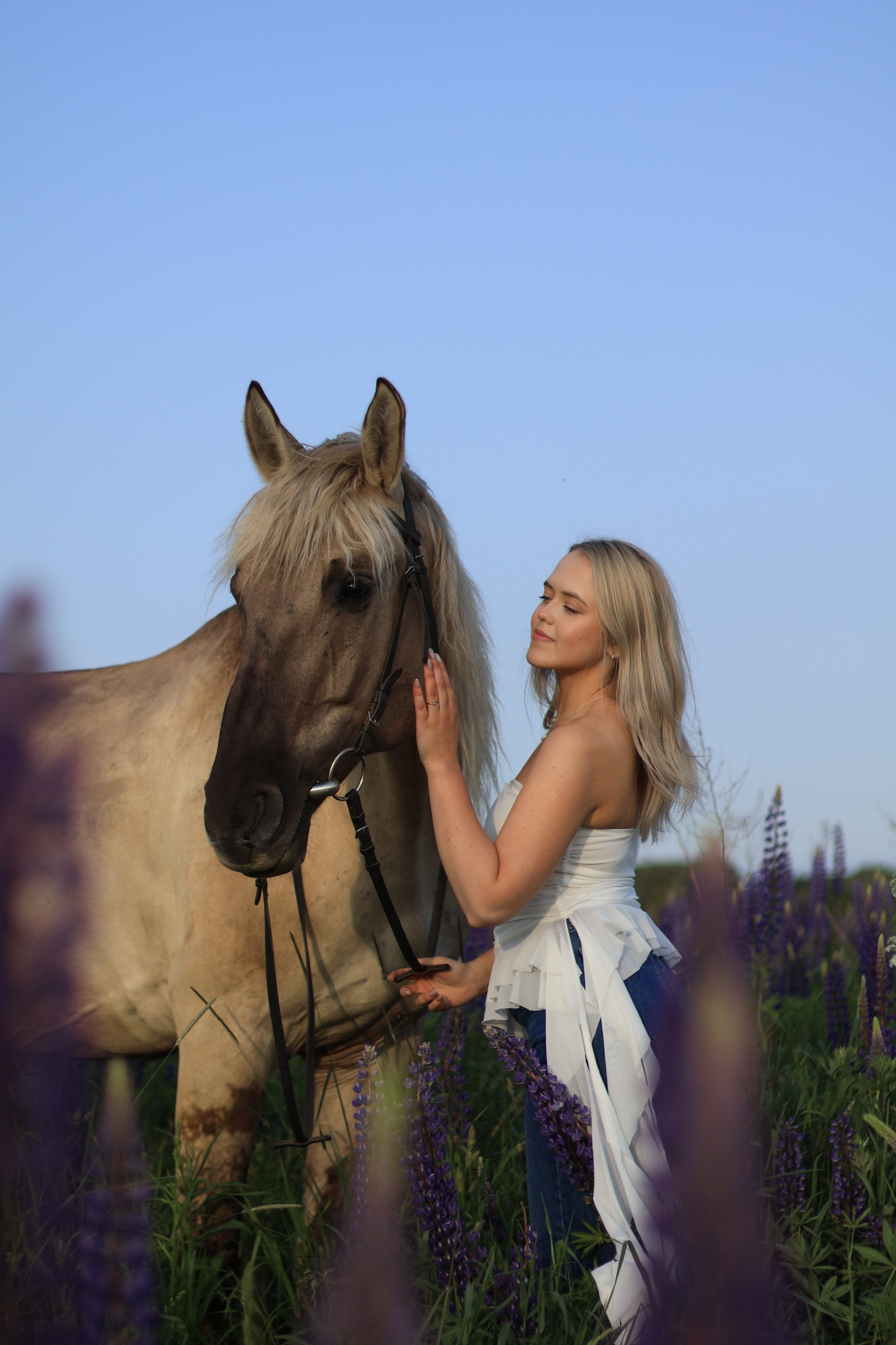 Природа и Животные. Niksssonphoto