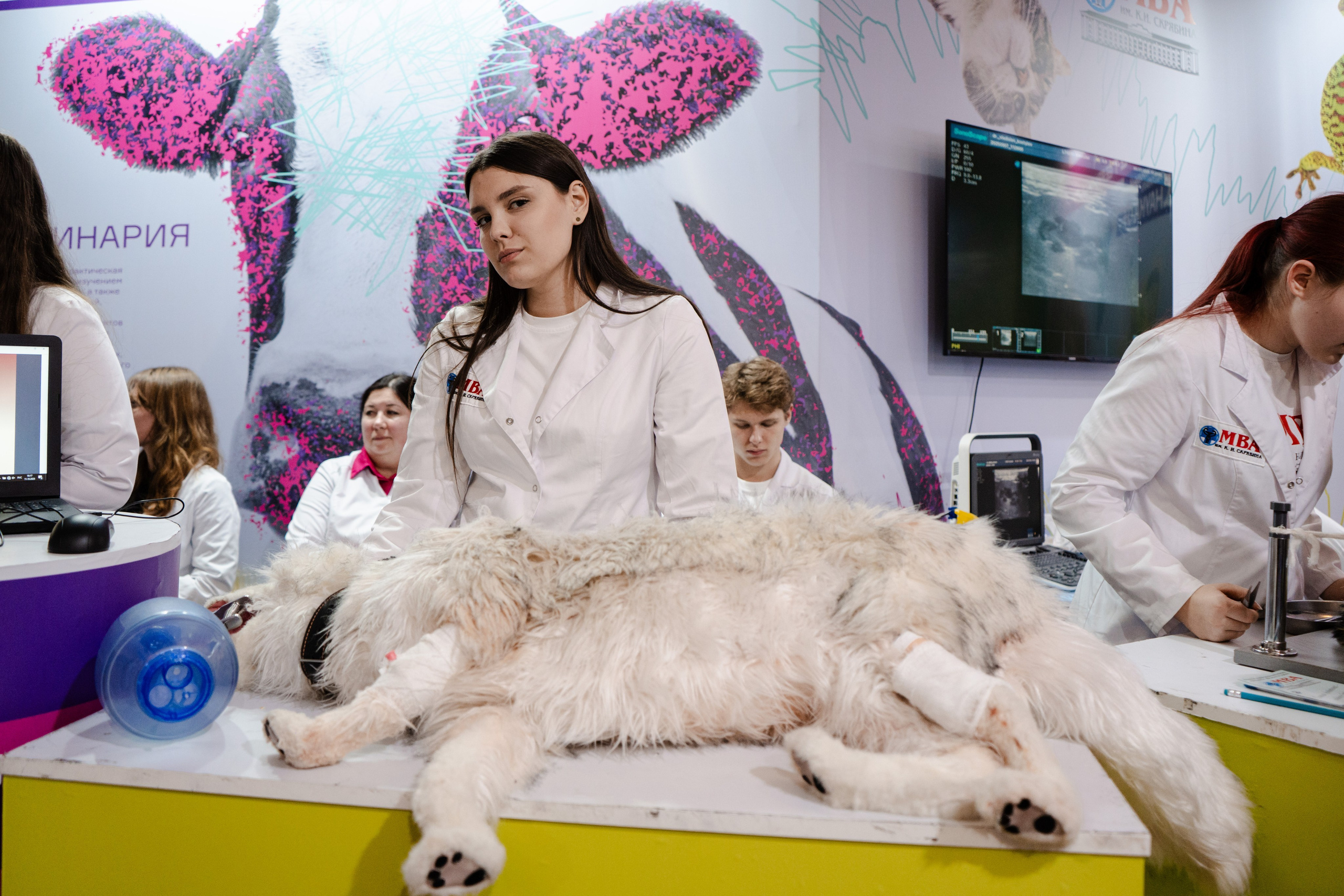 Международный фестиваль Наука 0+ (2025 г.). Фотограф в Москве Лиза Архипова