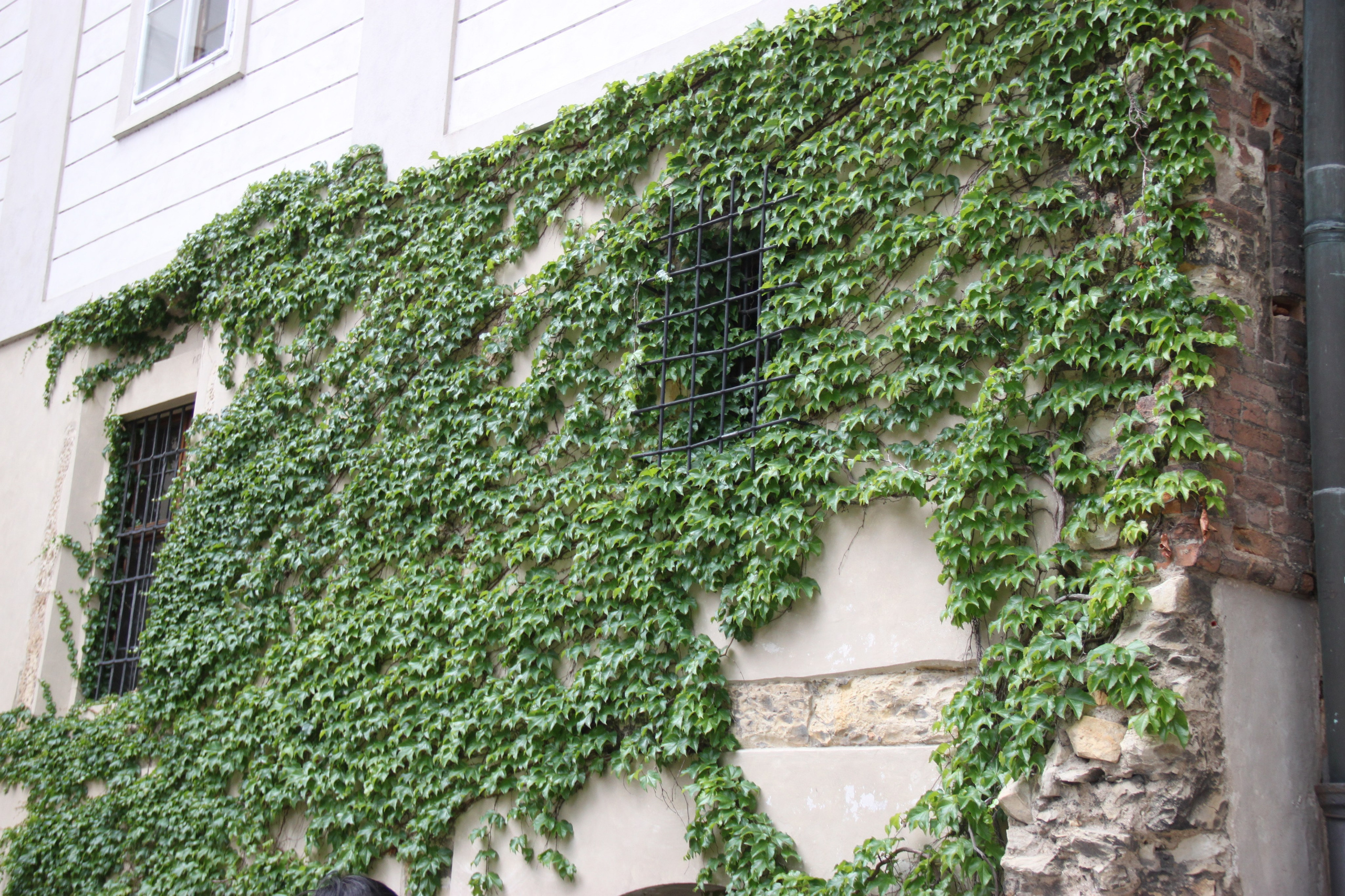 Prague, Czech Republic. Andrey Filippov Photographer