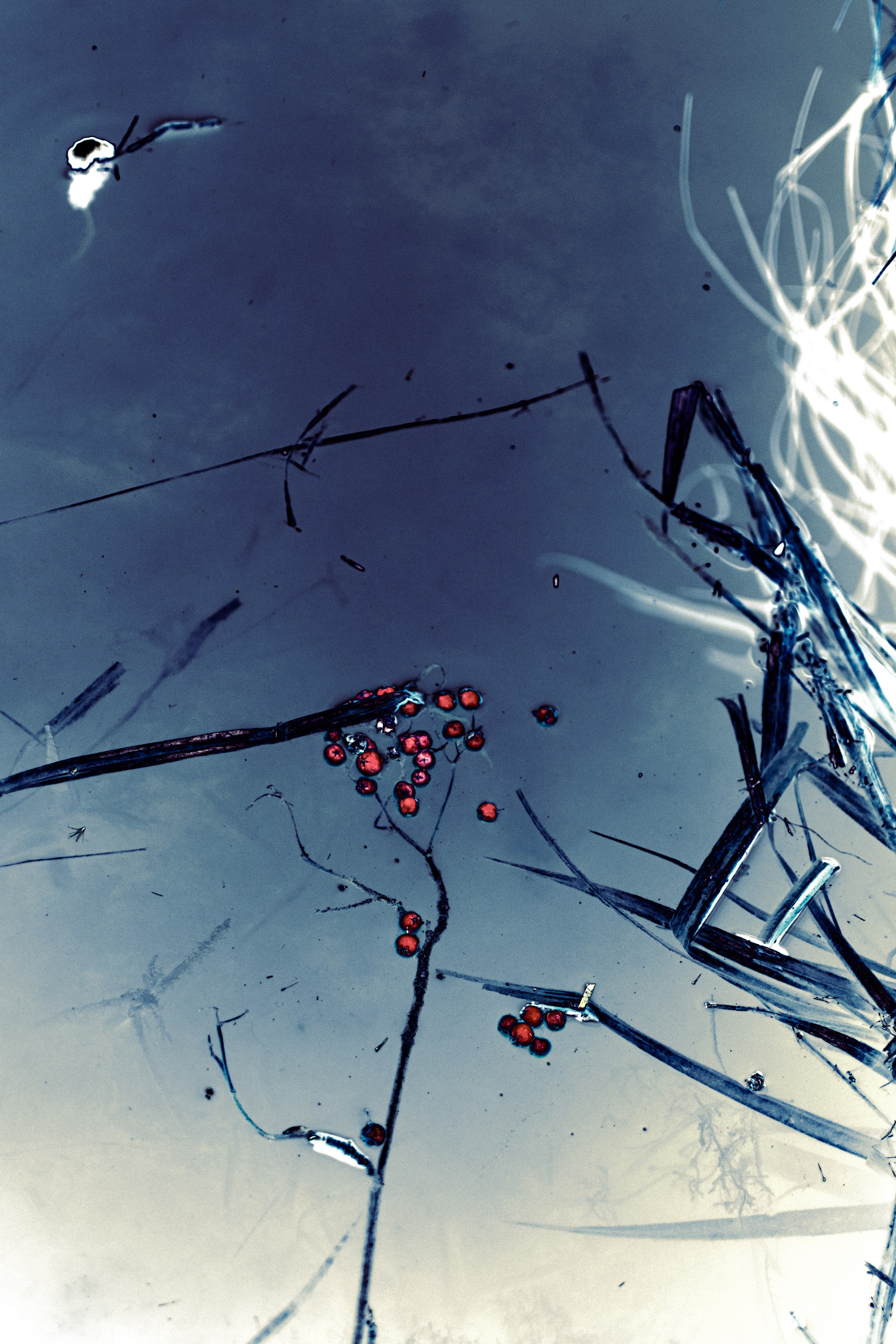 Расширение воздушных пространств. Анна Полонеева фотография фотохудожник визуальная художница портреты