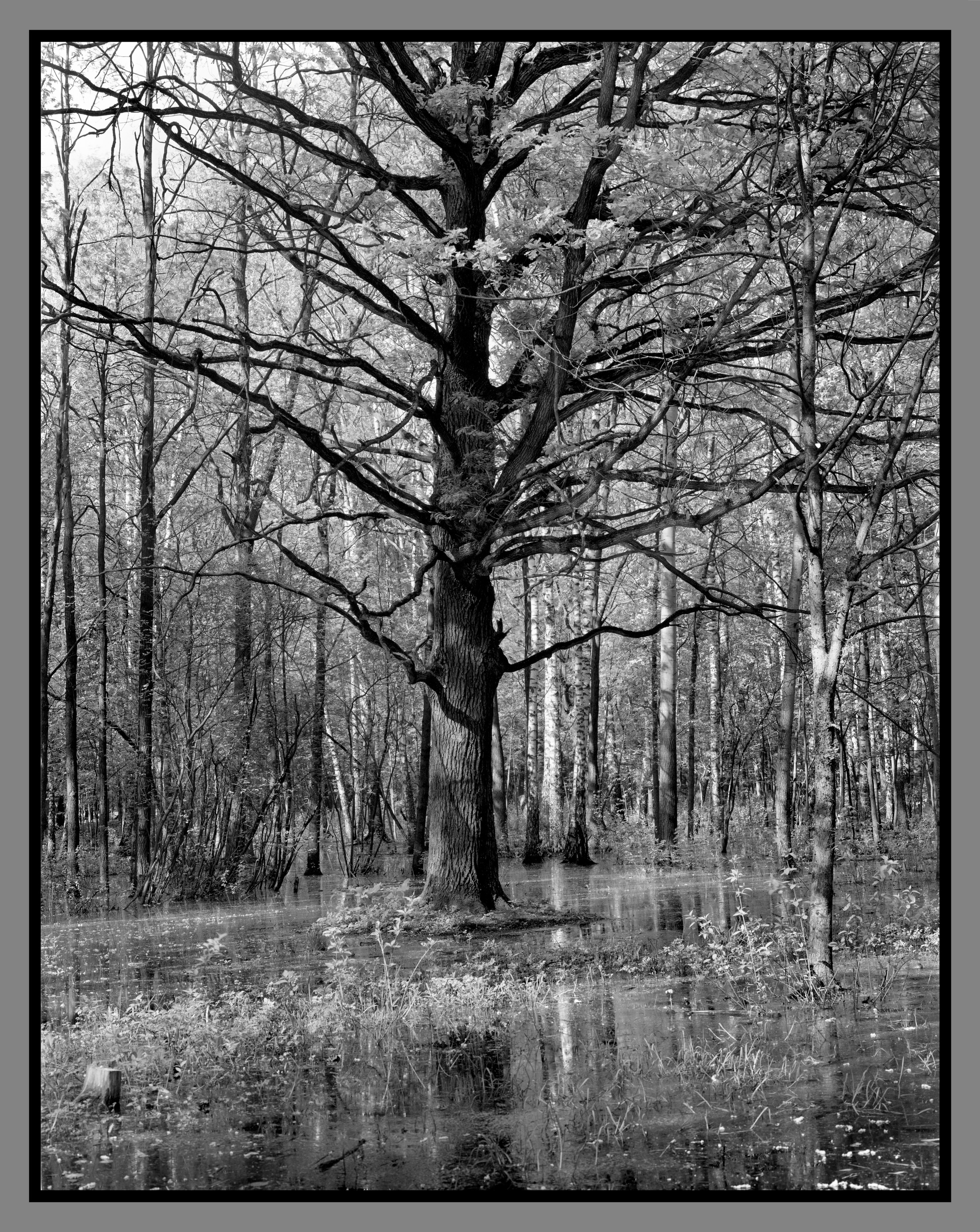 Author’s photo works in the ambrotype technique! Analog photography. Sergey Kondriuk art-photographer | artist