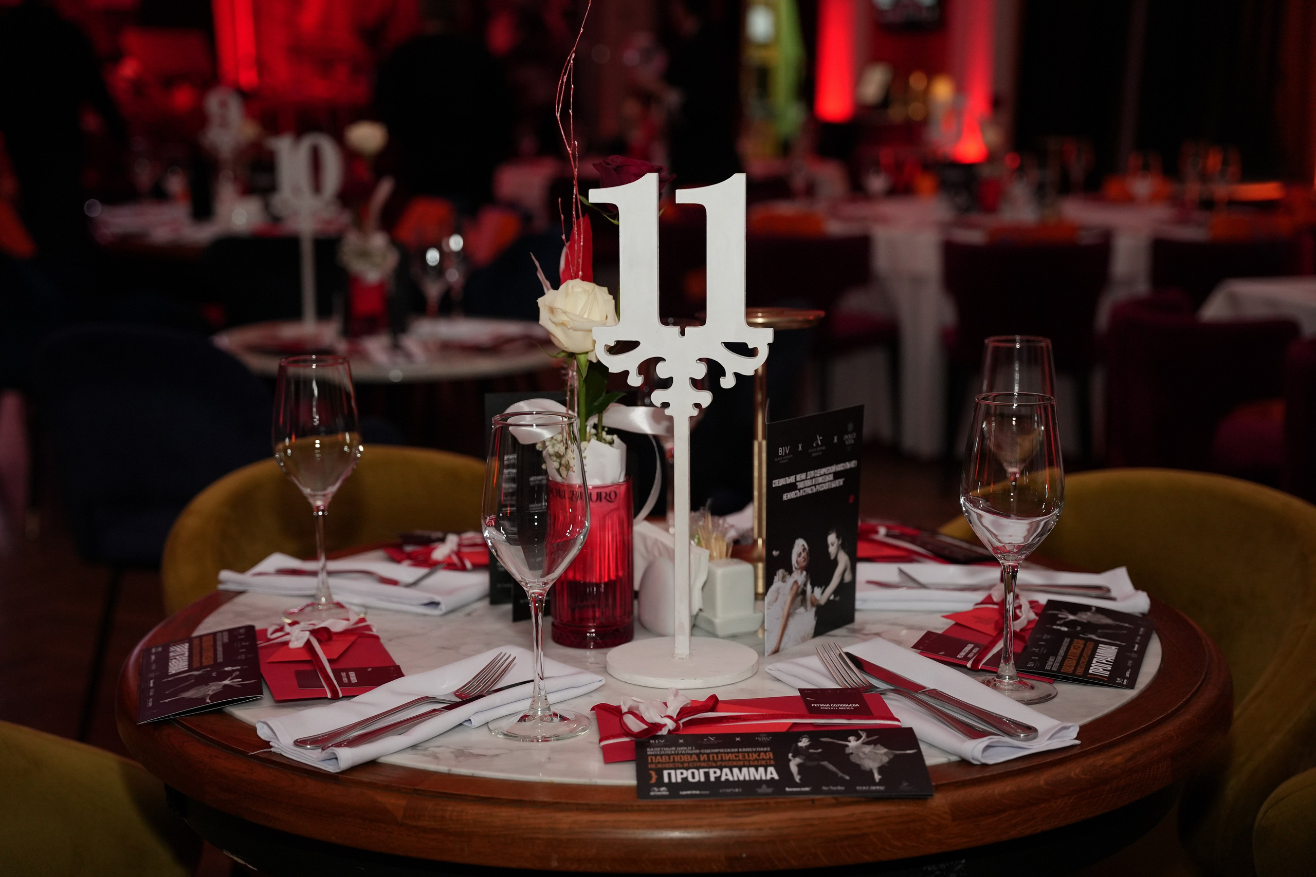 Вечер посвященный Анне Павловой и Майе Плисецкой. Фотограф Волгоград Анастасия Ли